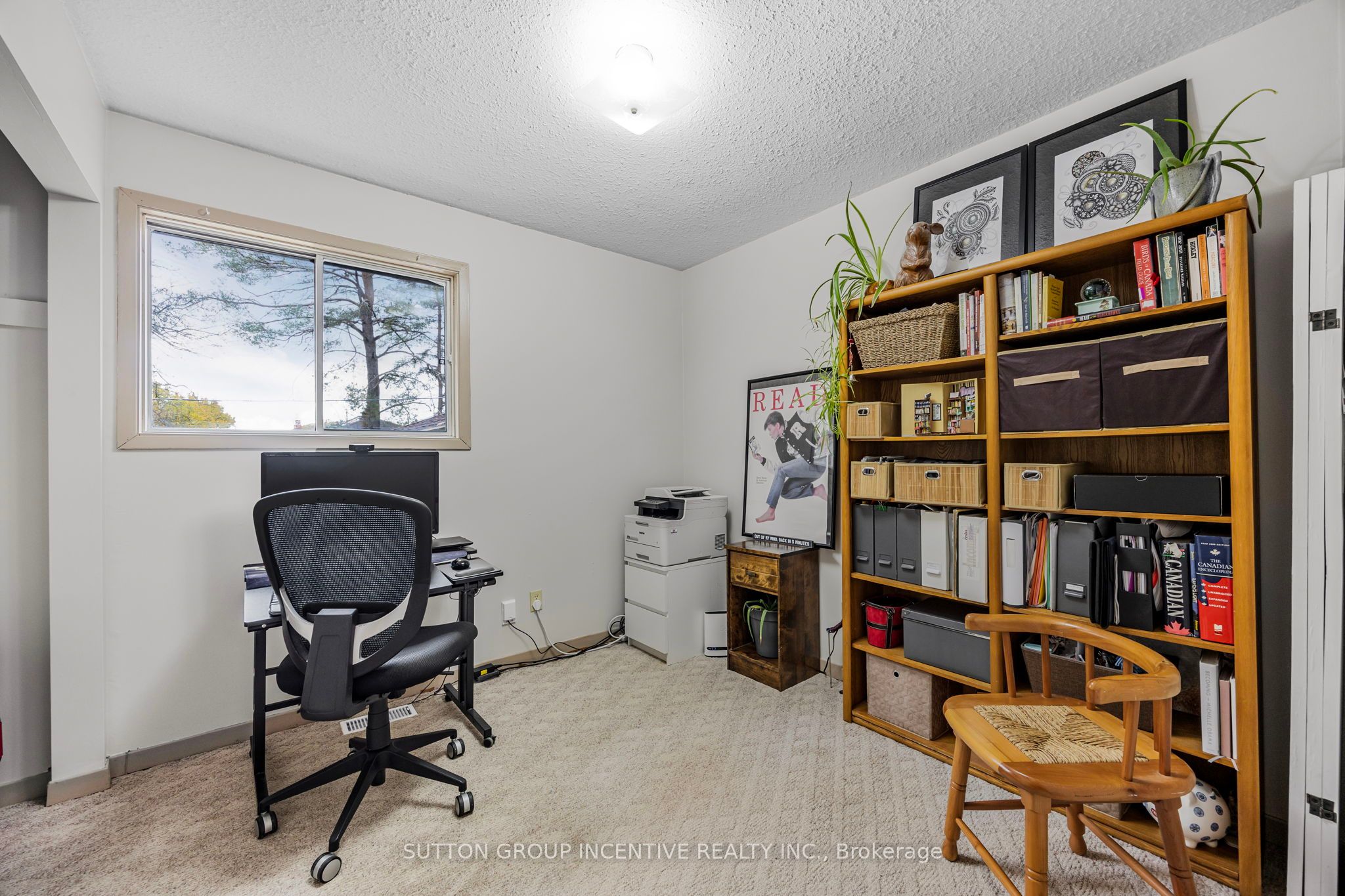 133 Gunn Street Property Photo 22