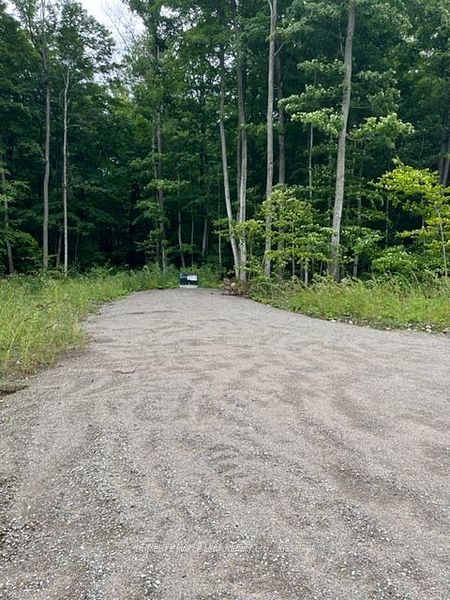 91 Nippissing Ridge Road Property Photo 2