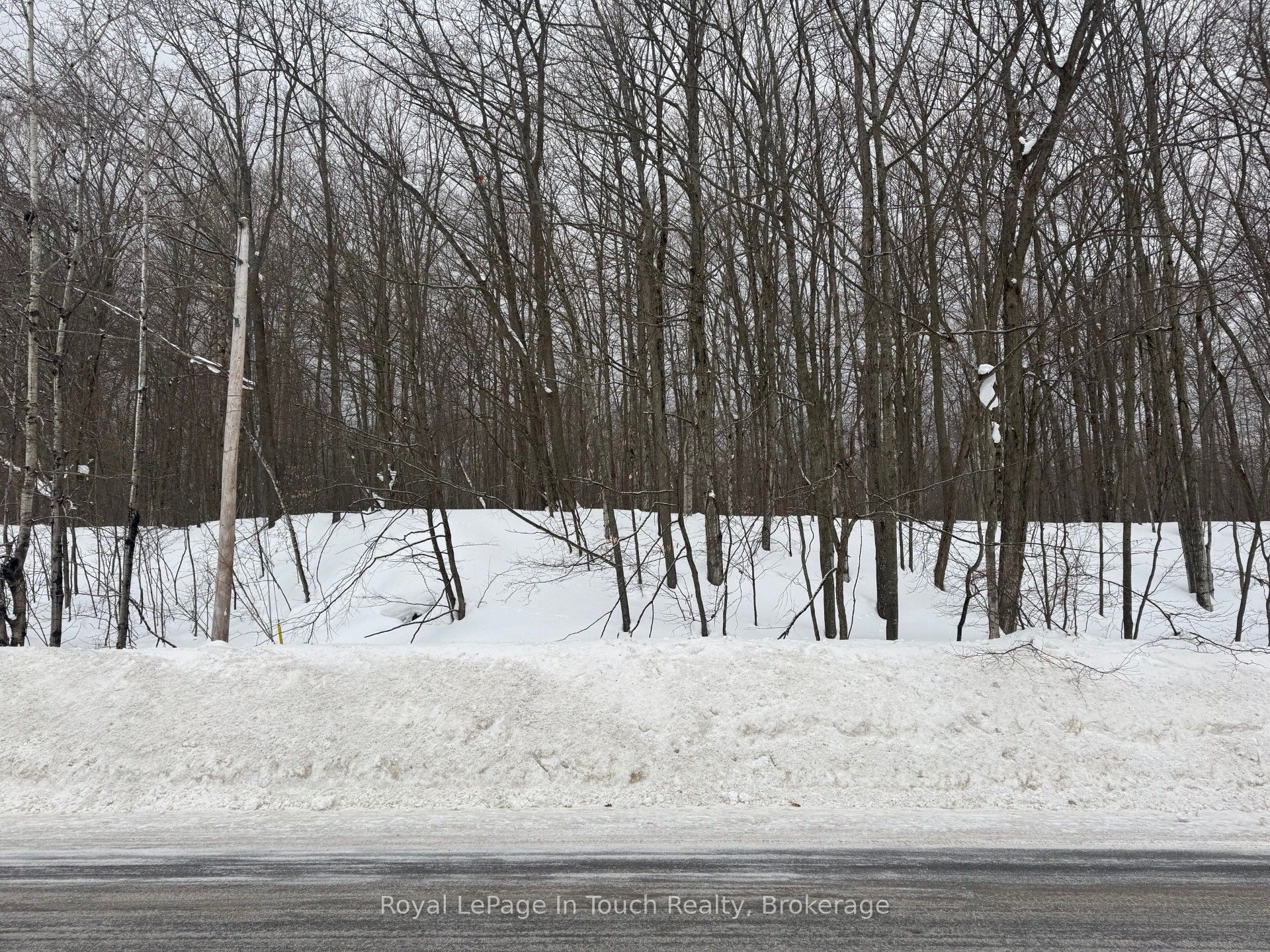 Park Lot A Champlain Road Property Photo 2