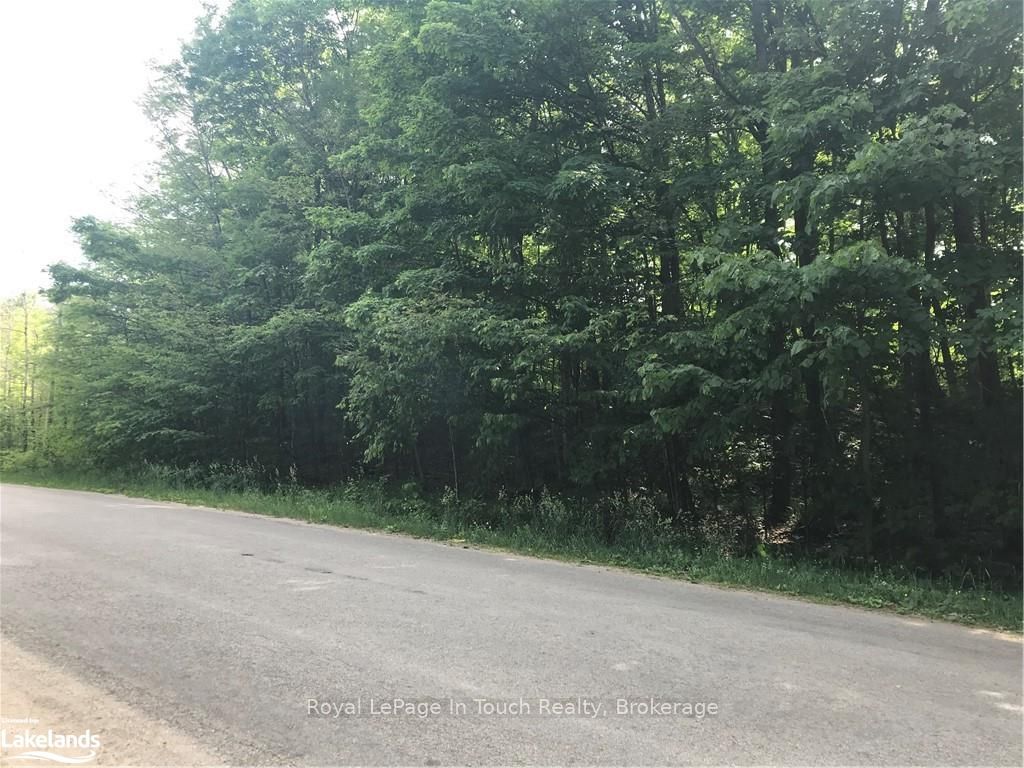 Park Lot A Champlain Road Property Photo 3