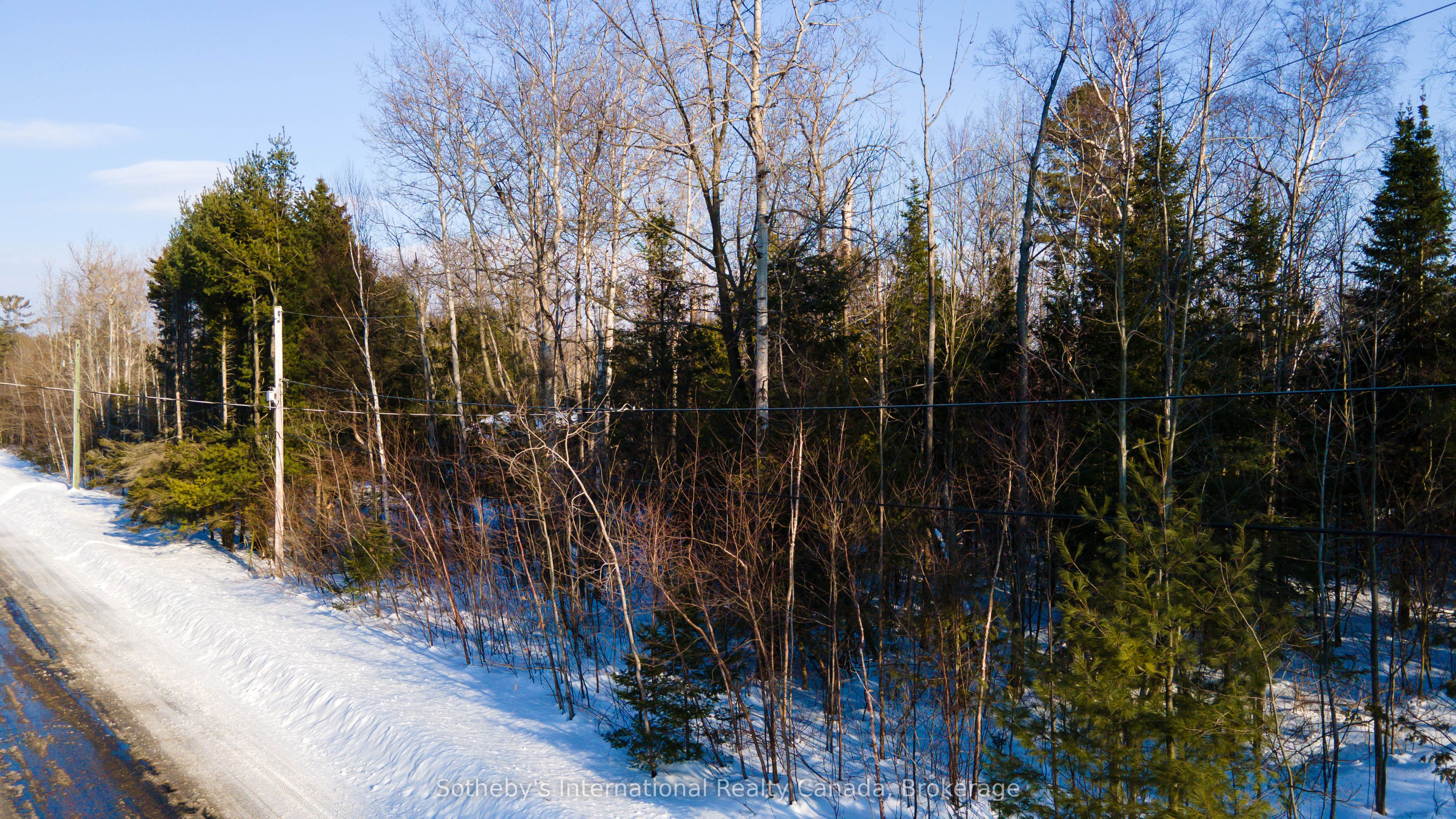 Lot 4 Spruce Street Property Photo 5