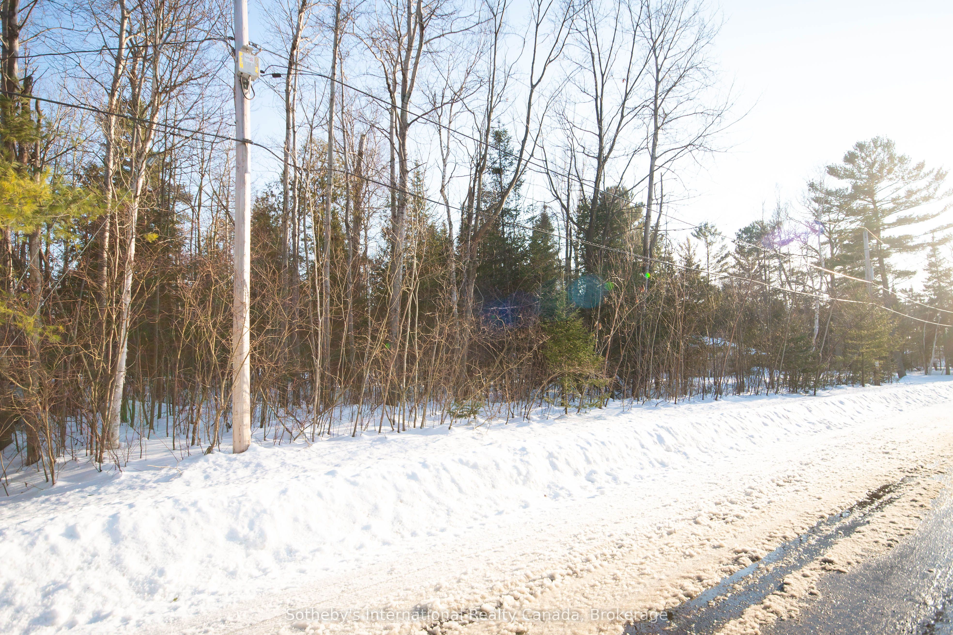 Lot 4 Spruce Street Property Photo 6