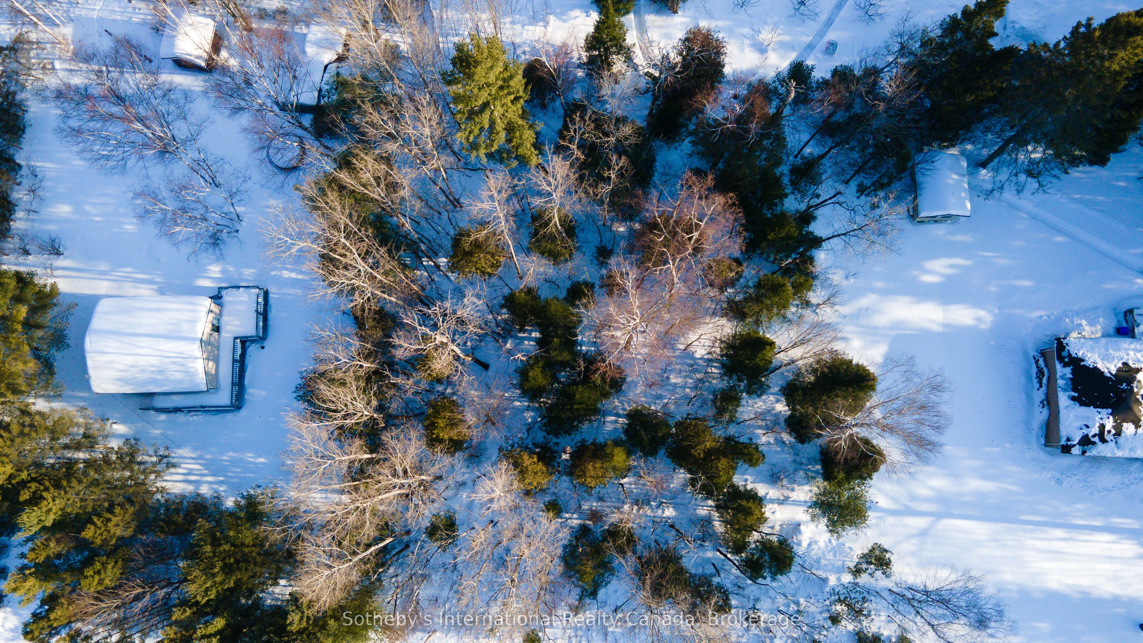 Lot 4 Spruce Street Property Photo 11