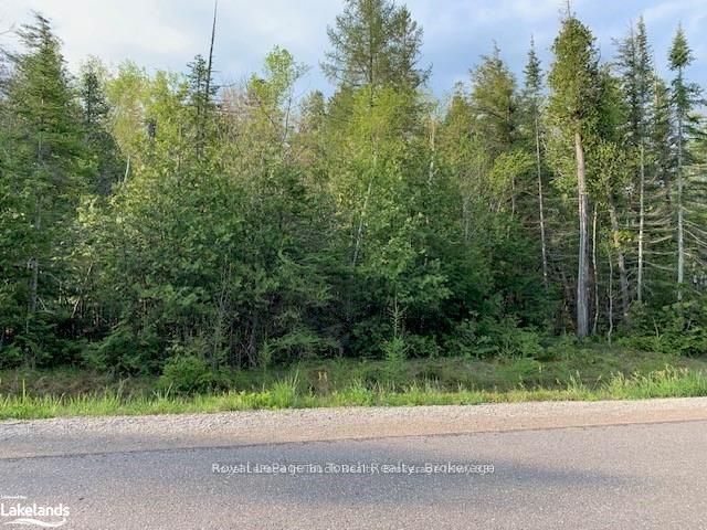 Lot 266 Champlain Road Property Photo 1