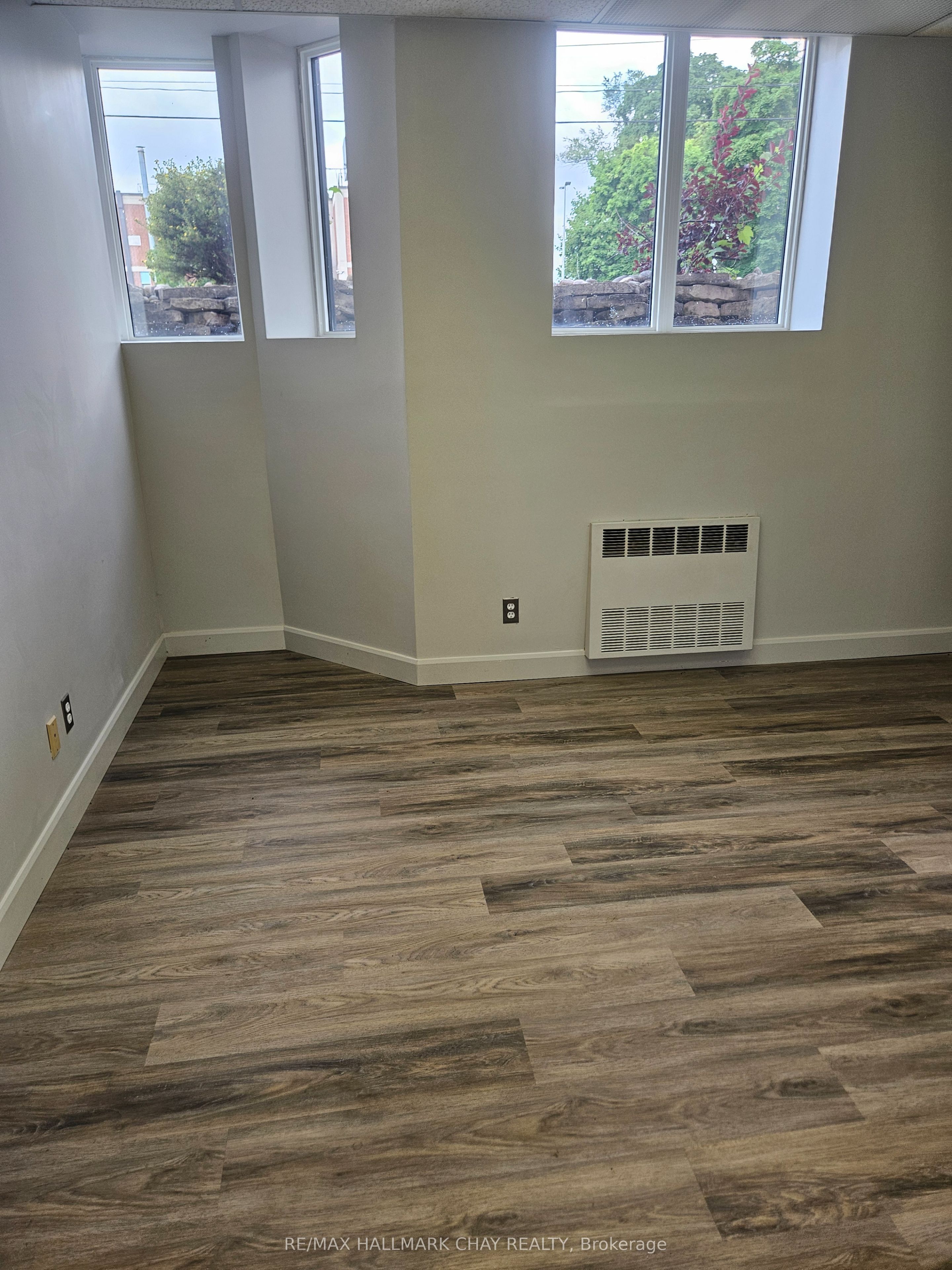 #lower Level - 152 Bayfield Street Property Photo 8