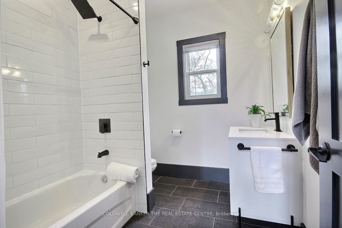 171 Fox Street Property Photo 24