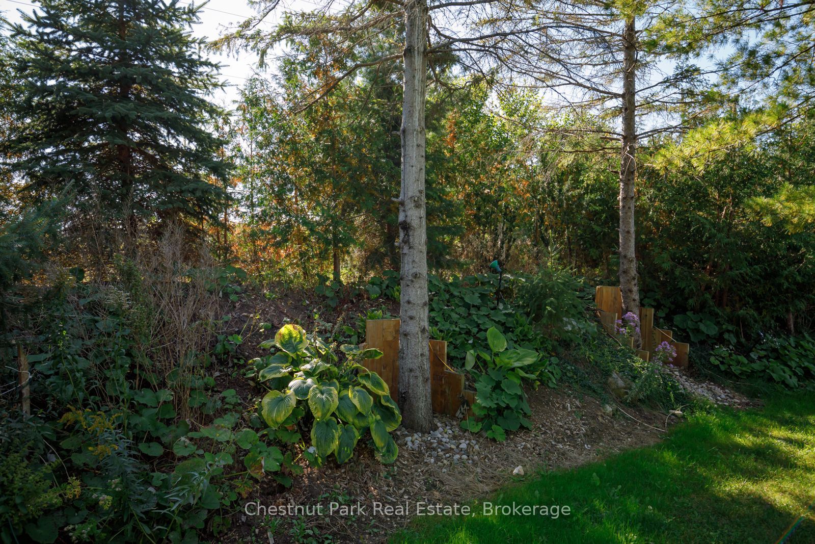 8610 Poplar Side Road Property Photo 48