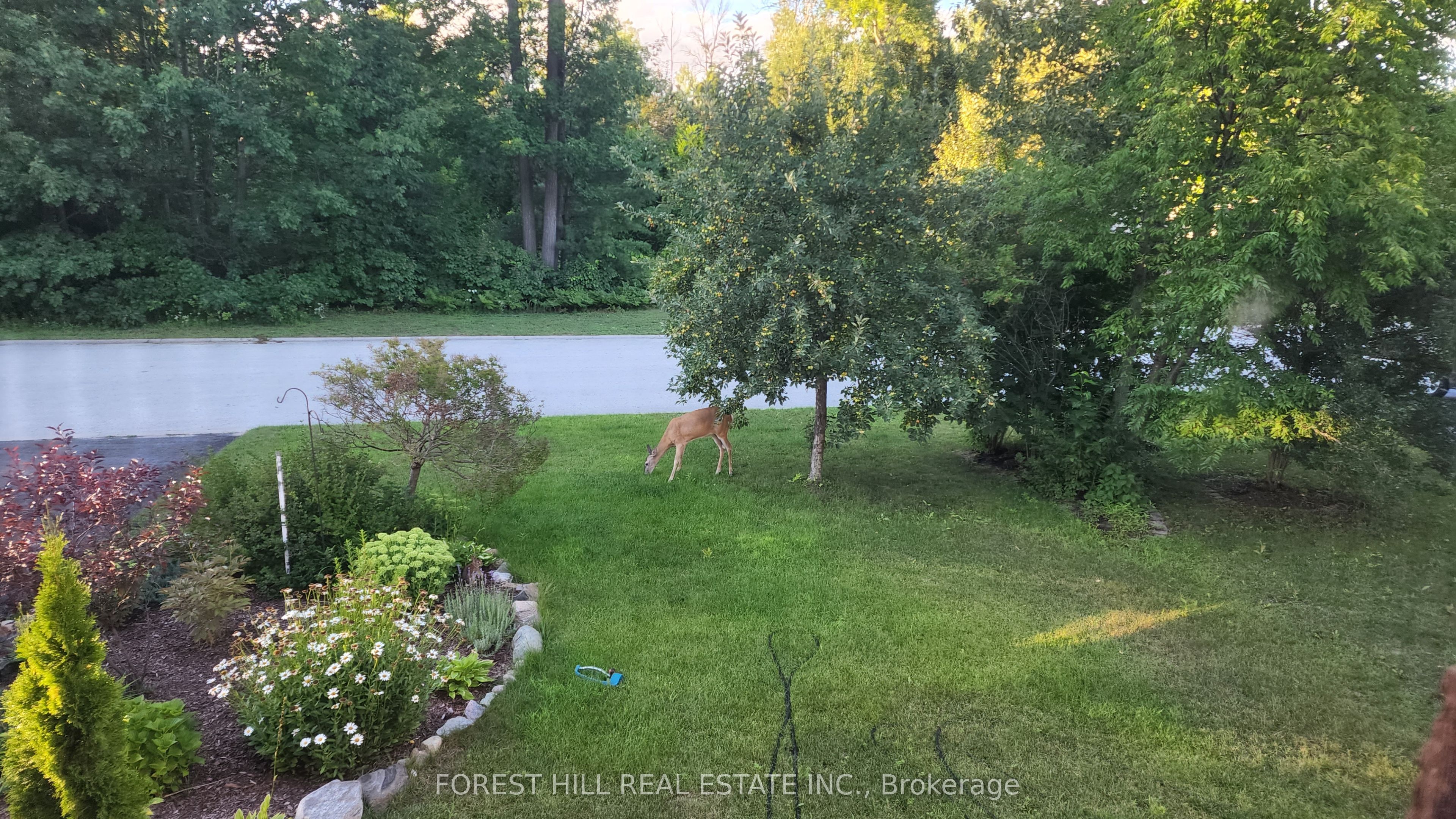 7 Tamarack Way Property Photo 39