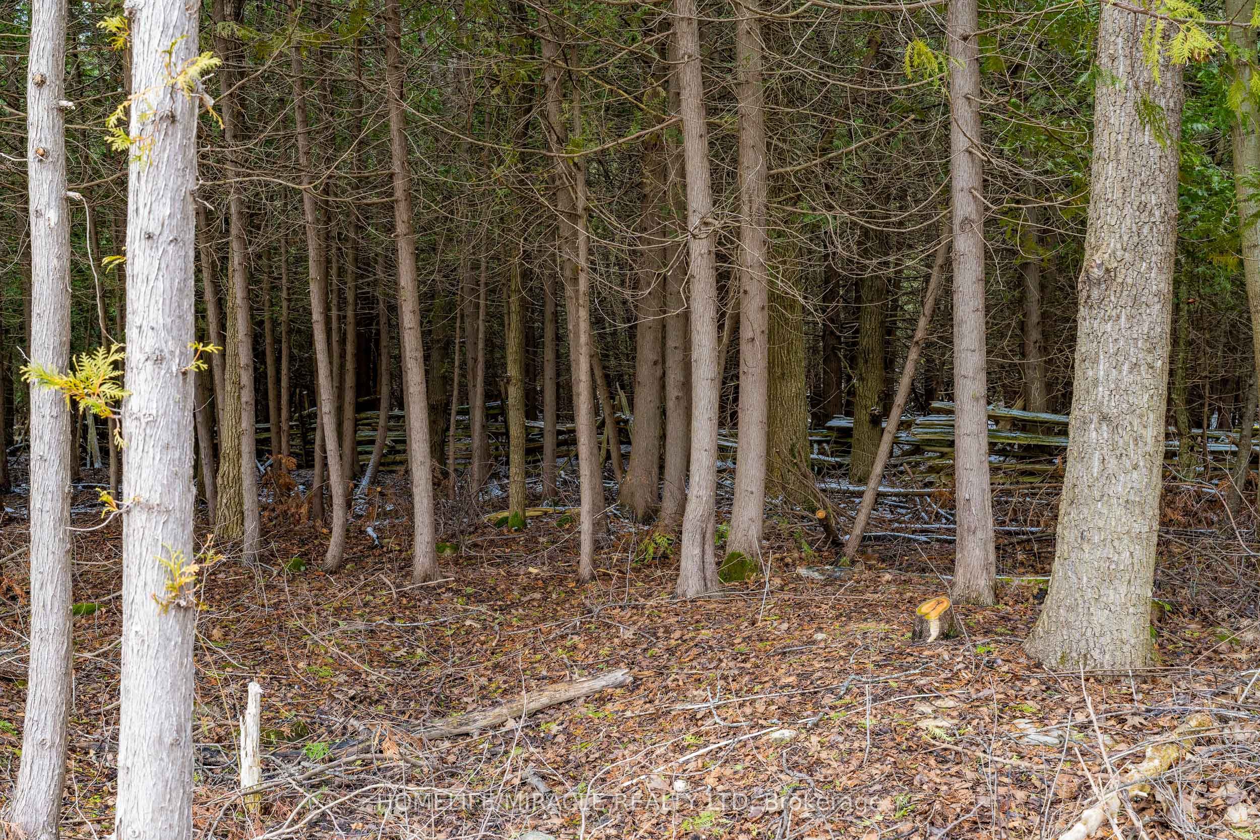 2506 Concession 10 N Nottawasaga Road Property Photo 20