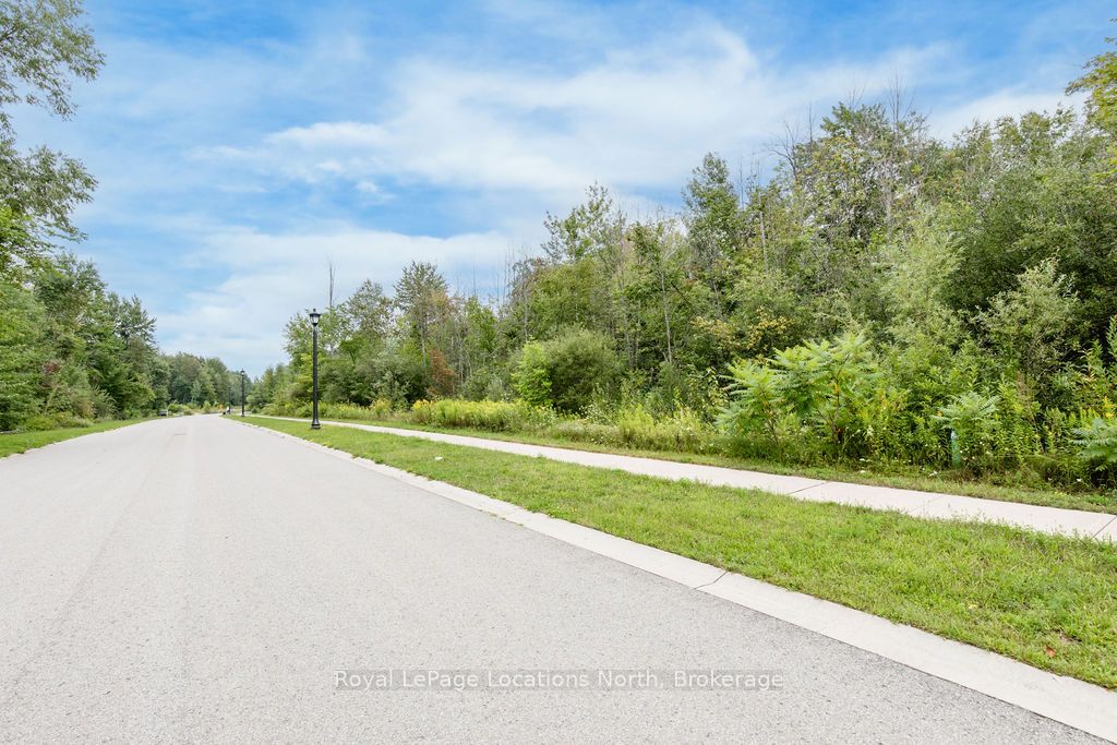 Part Lot 25 Robinson Road Property Photo 2