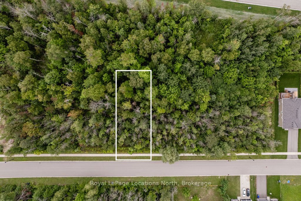 Part Lot 25 Robinson Road Property Photo 4