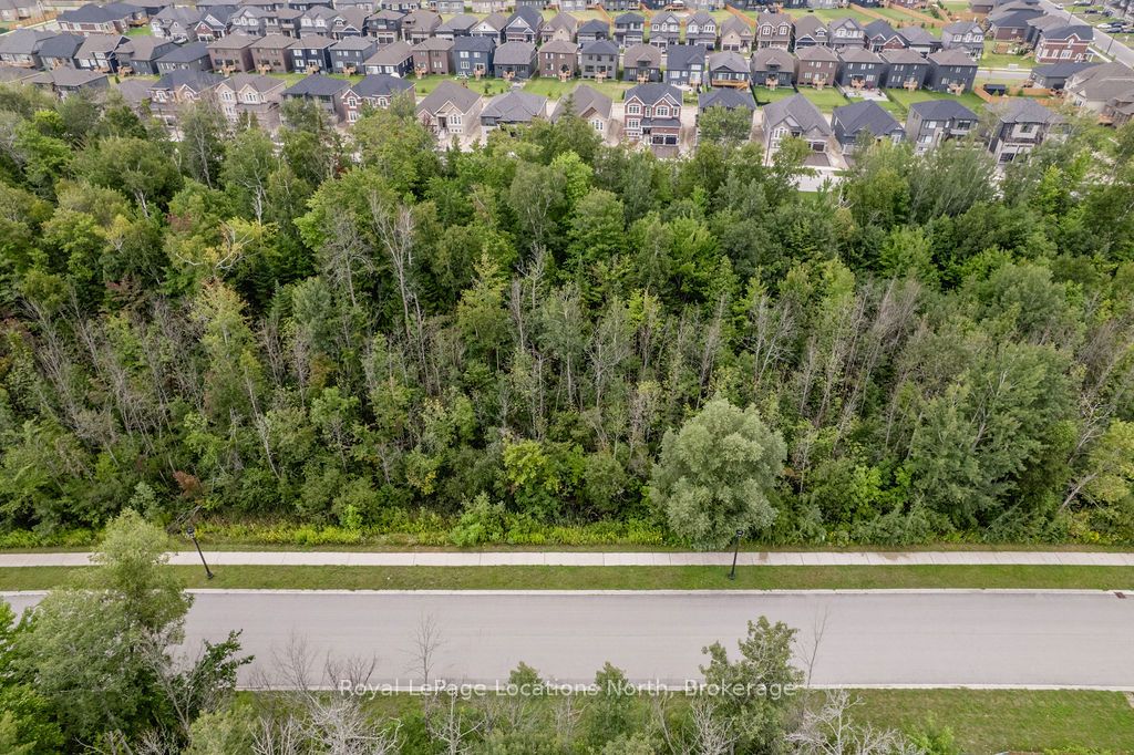 Part Lot 25 Robinson Road Property Photo 5