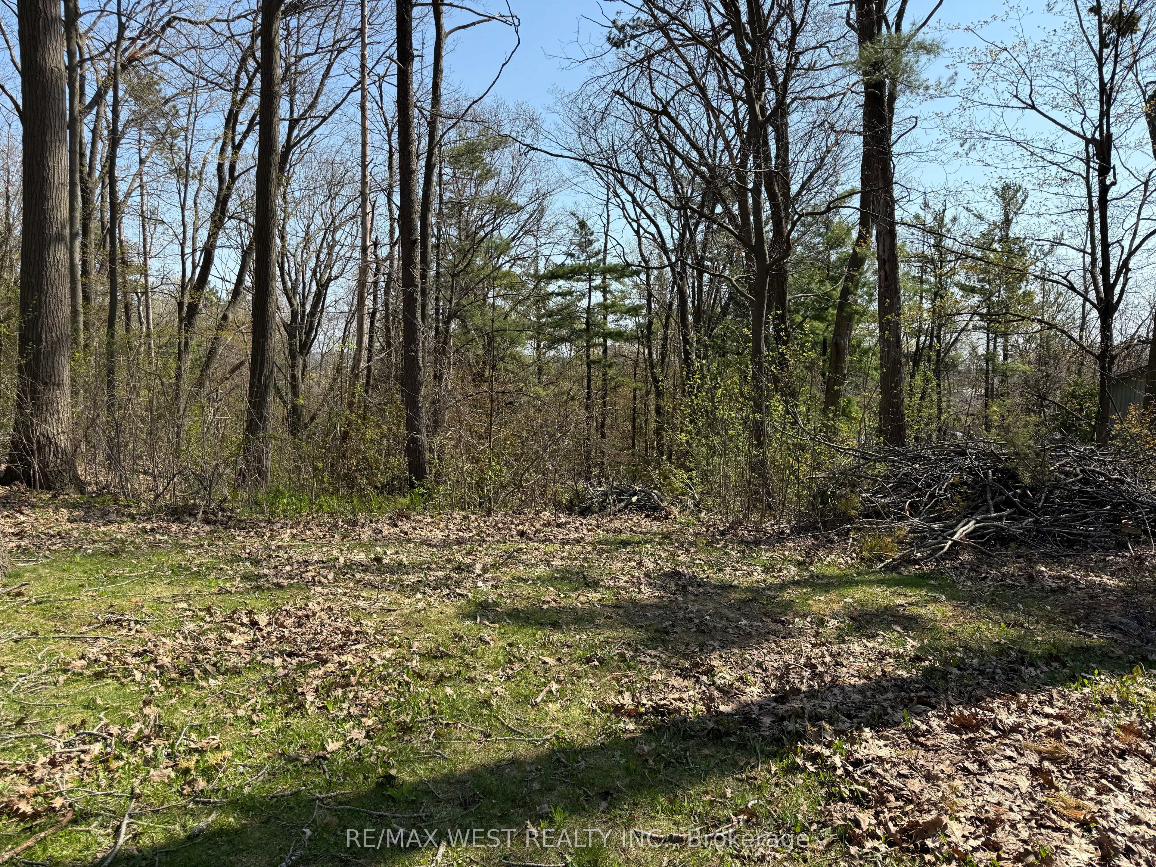 105 Shirley Avenue Property Photo 2