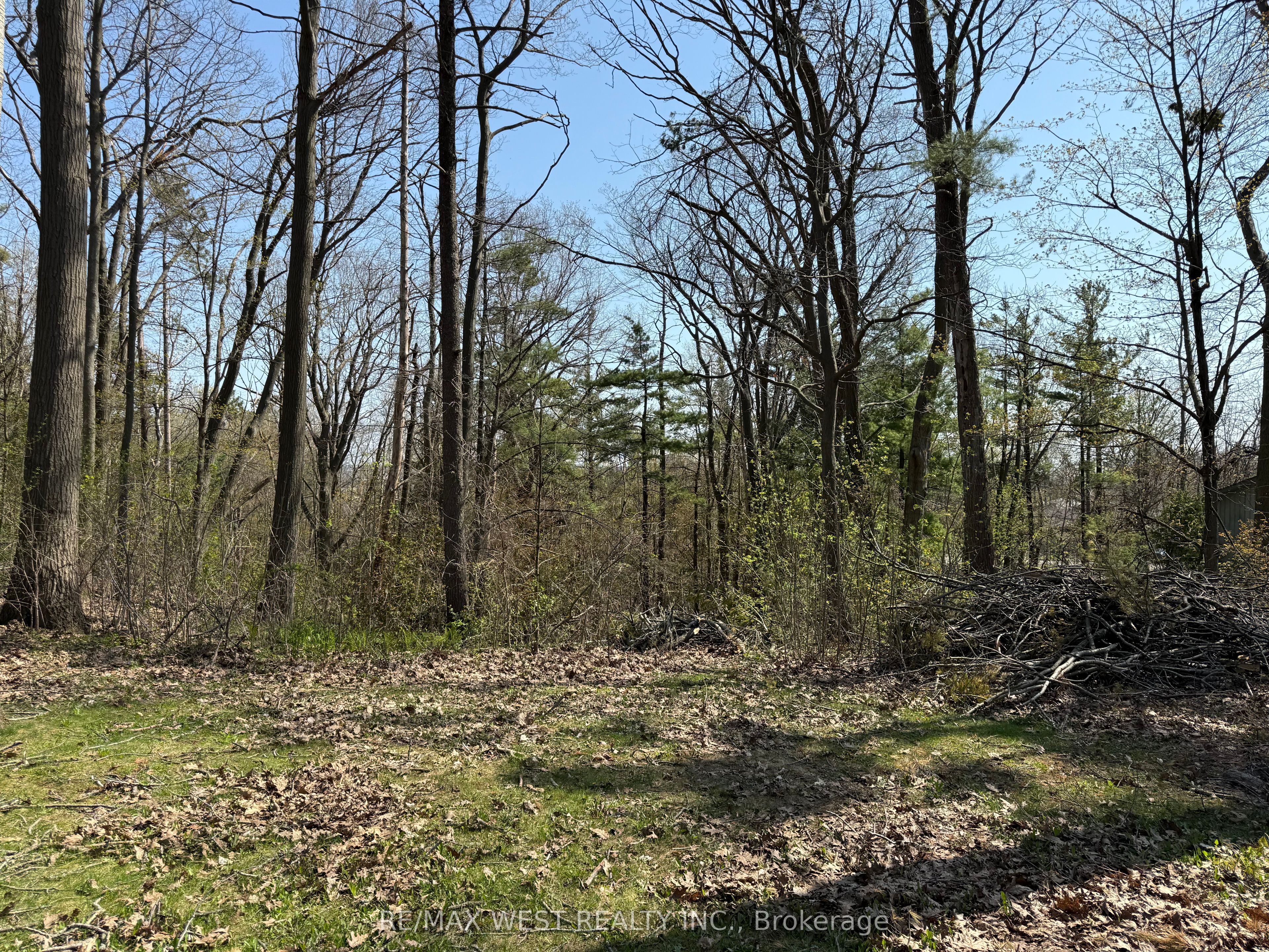 105 Shirley Avenue Property Photo 36