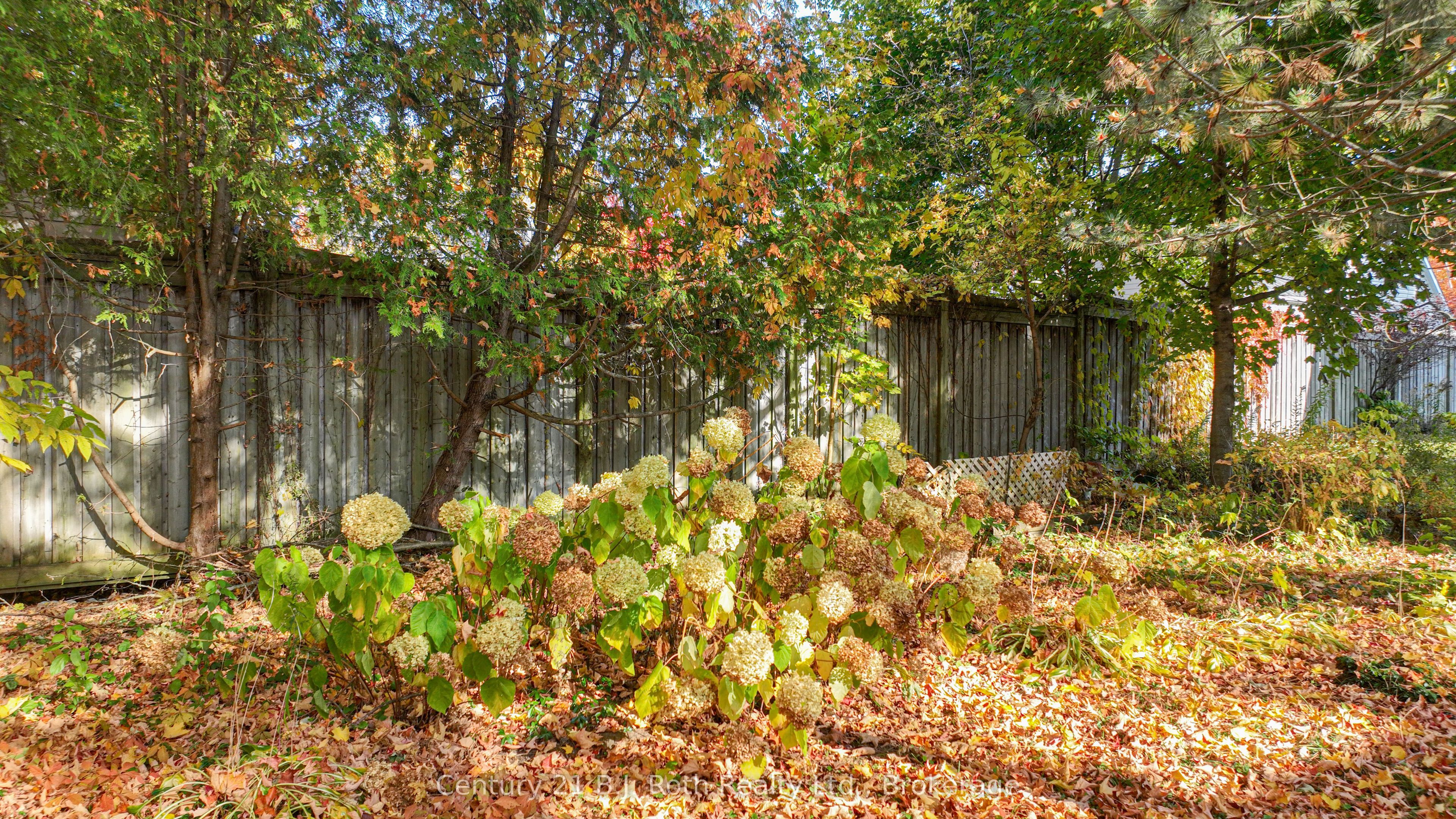 24 Champlain Street Property Photo 4