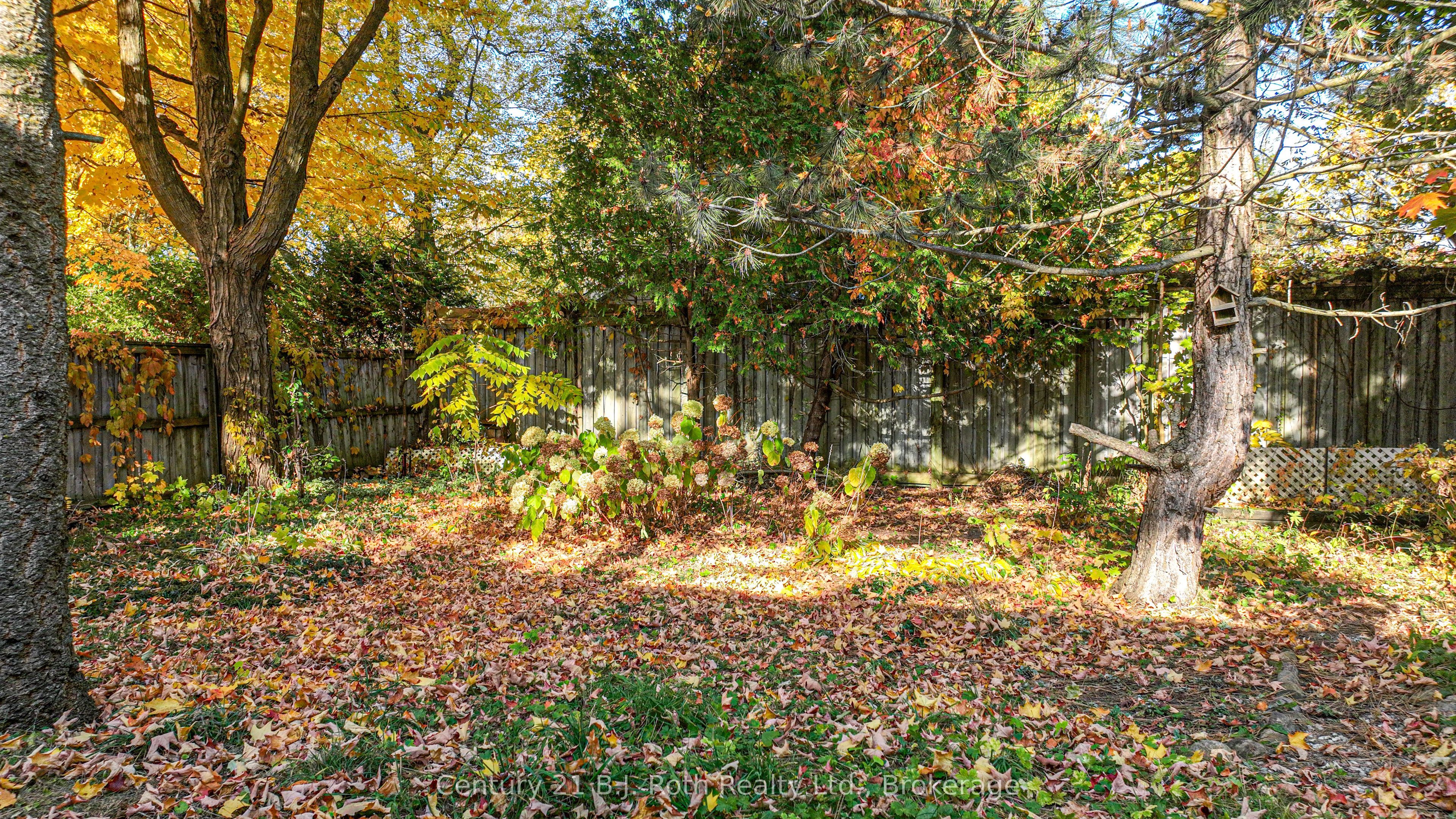 24 Champlain Street Property Photo 5