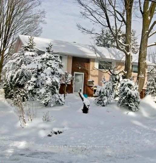 24 Champlain Street Property Photo 48
