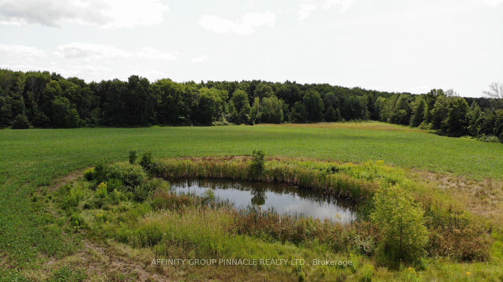 4026 Highway 12 Property Photo 16