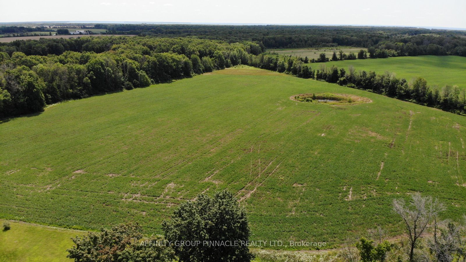 4026 Highway 12 Property Photo 27
