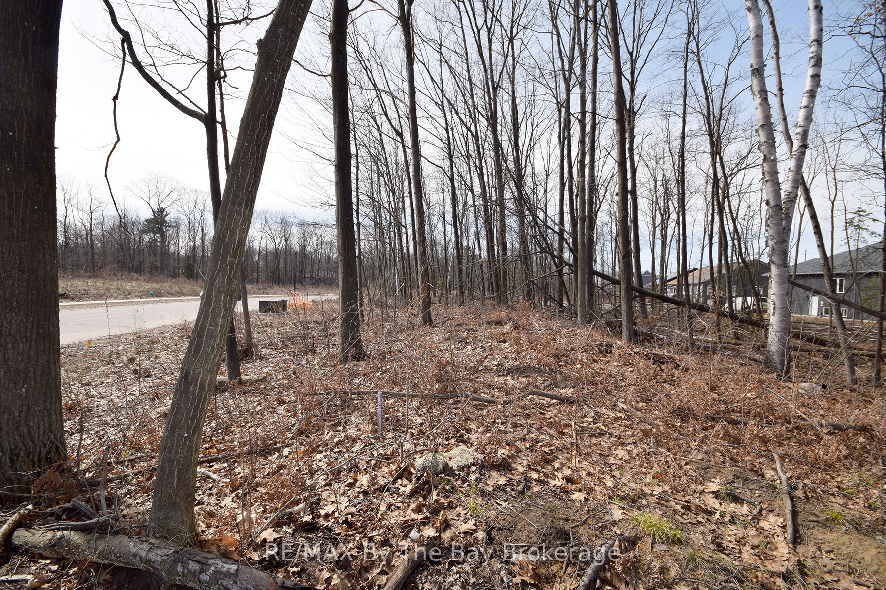 34 Joanne Crescent Property Photo 9