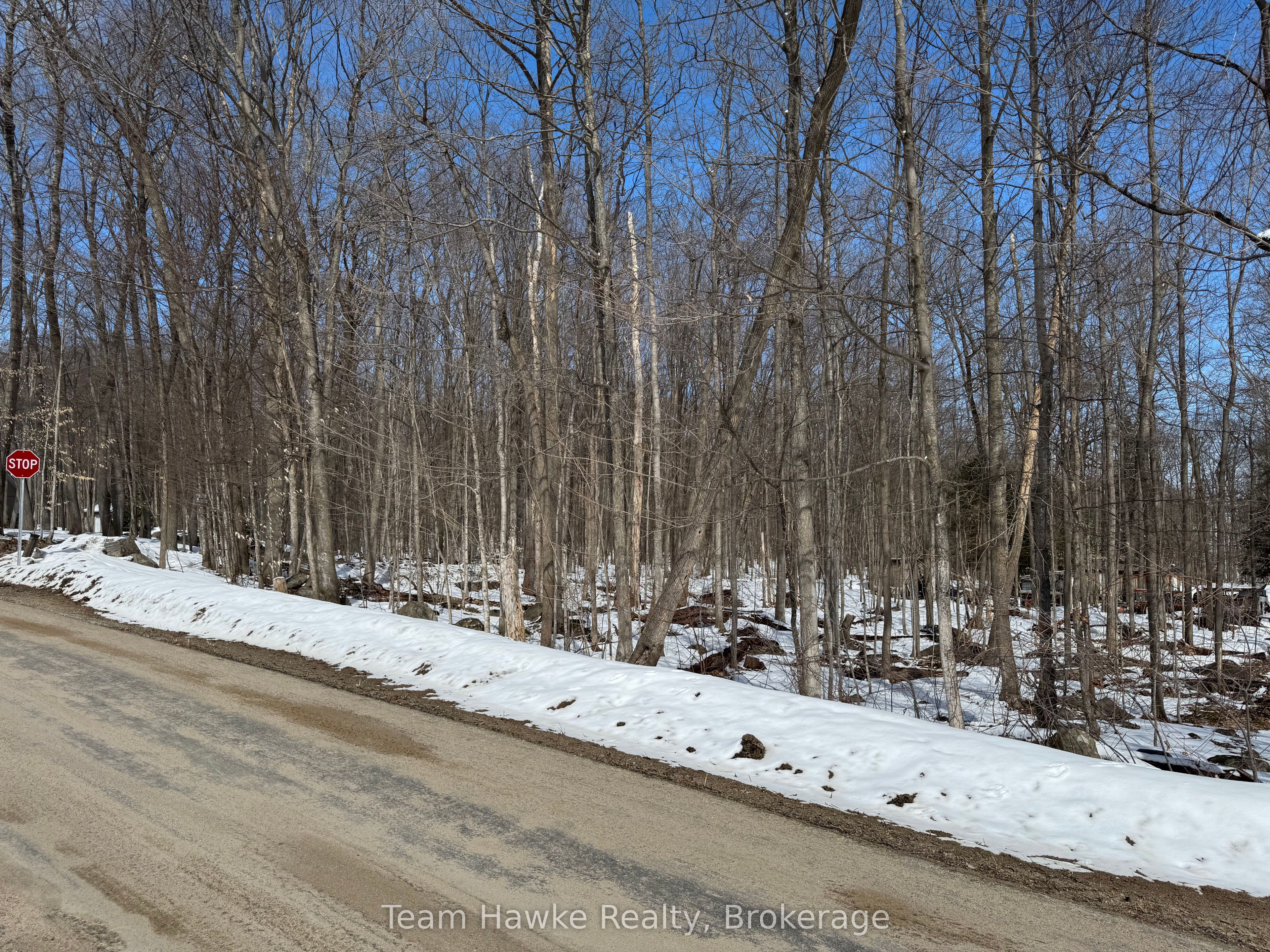 85 Polish Avenue Property Photo 4