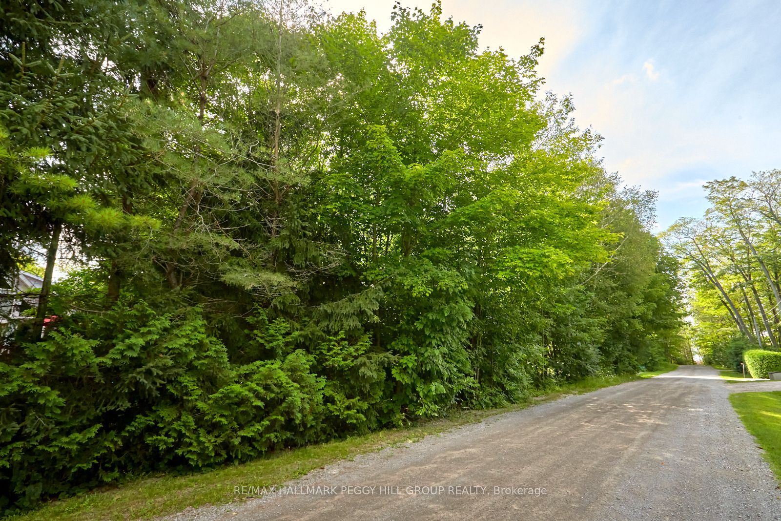 Lot 69 Enchantment Avenue Property Photo 3