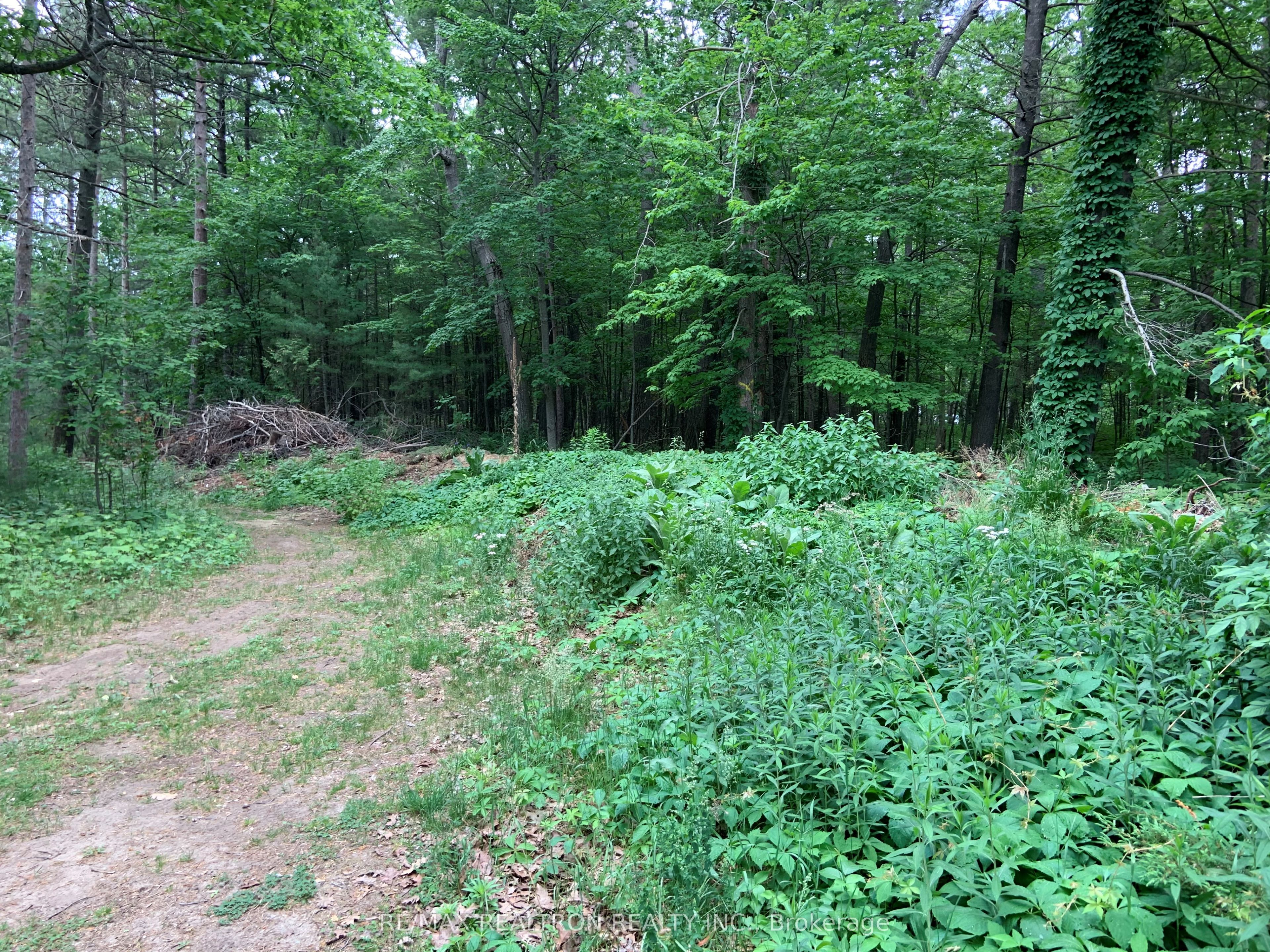8 Poplar Street Property Photo 3