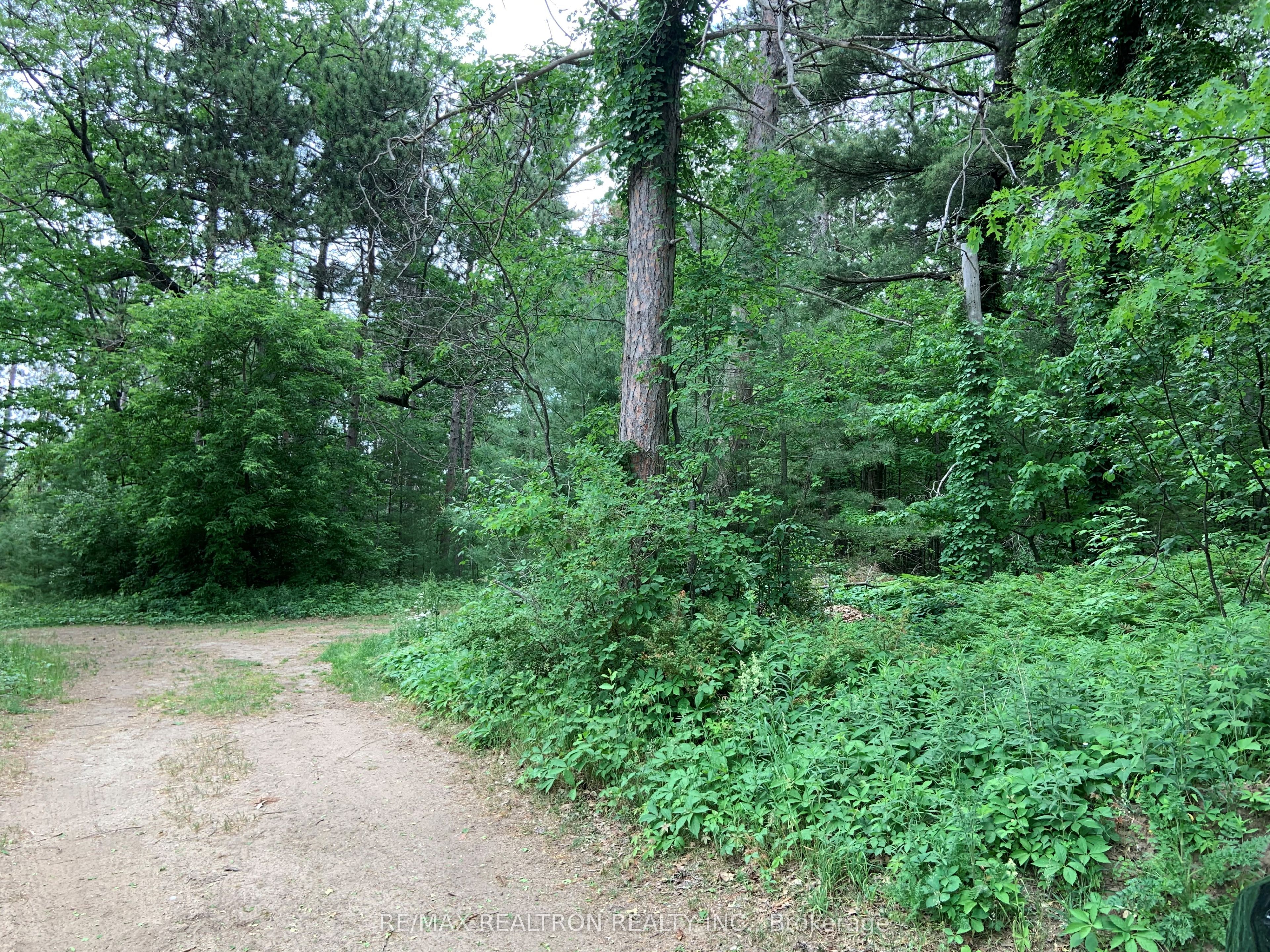 8 Poplar Street Property Photo 5