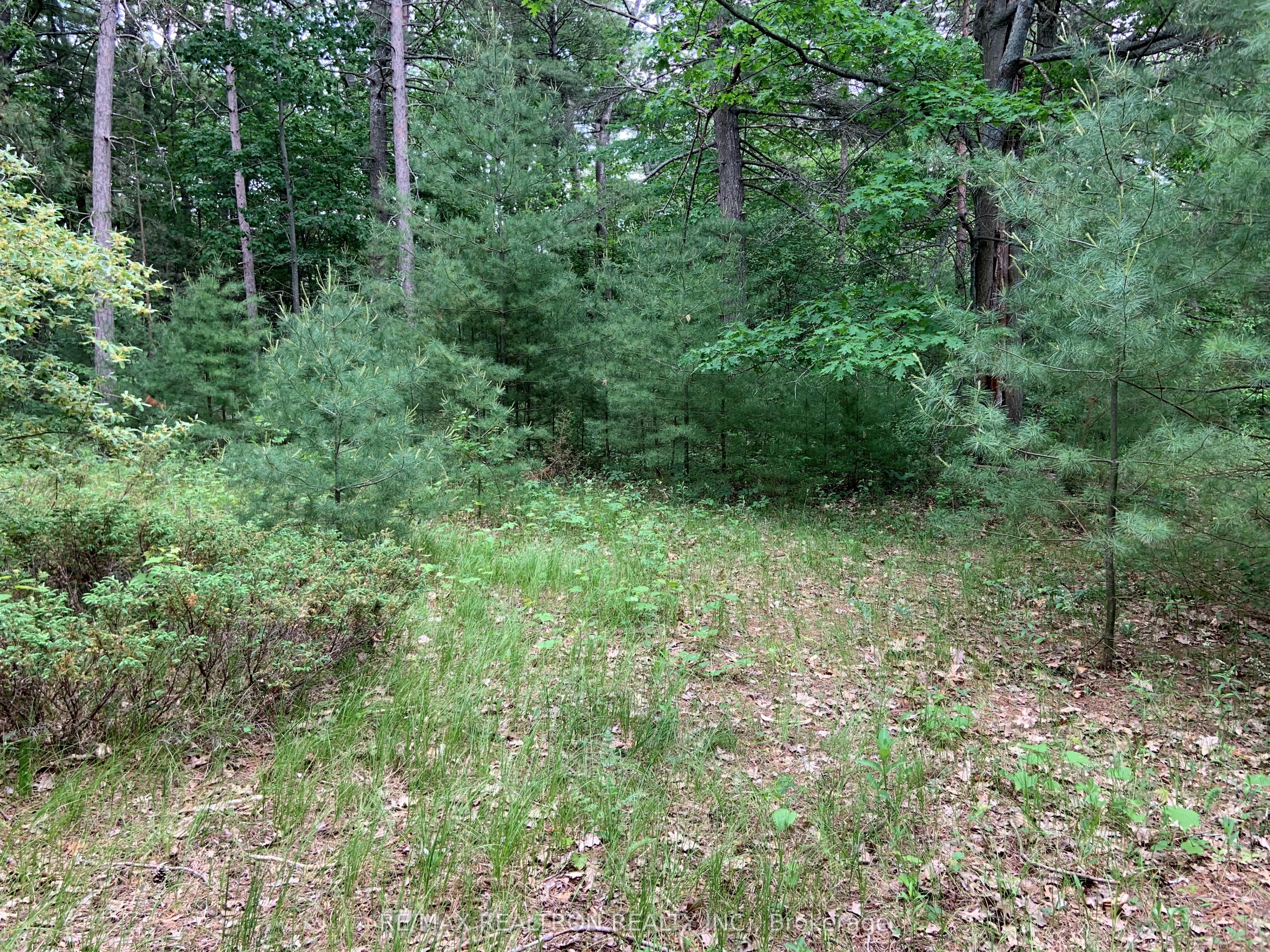 8 Poplar Street Property Photo 8