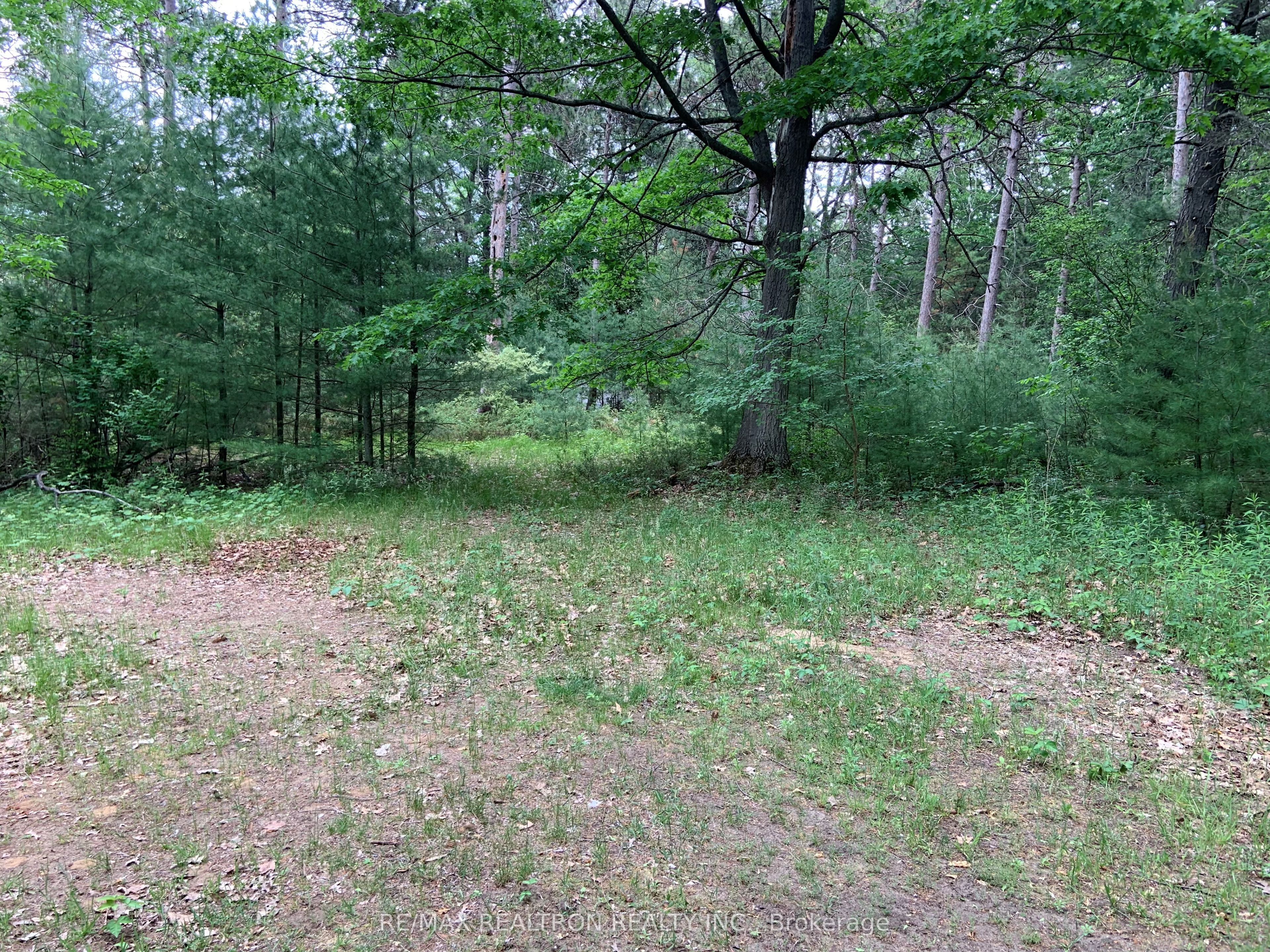 8 Poplar Street Property Photo 9