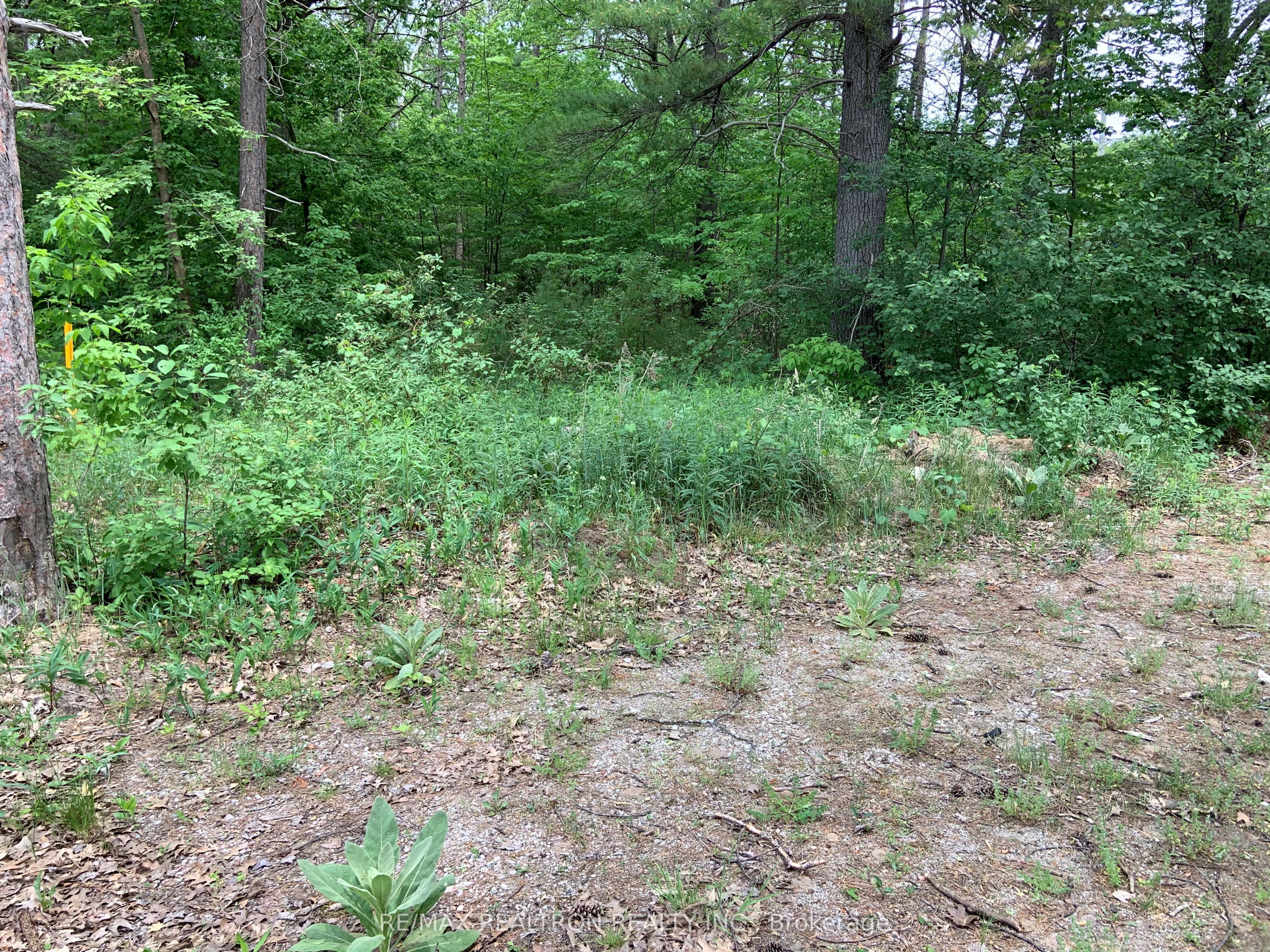 8 Poplar Street Property Photo 10