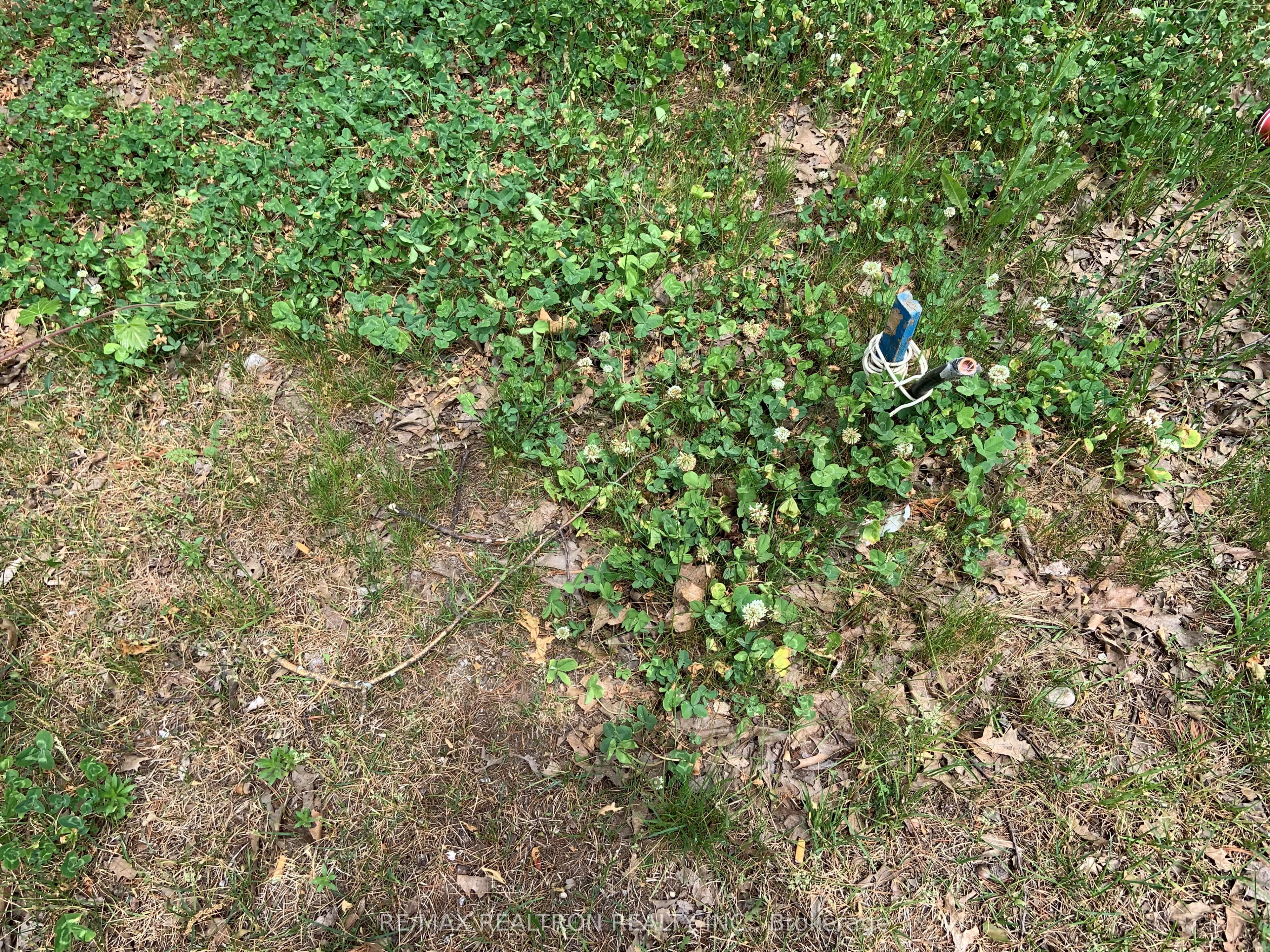 8 Poplar Street Property Photo 11