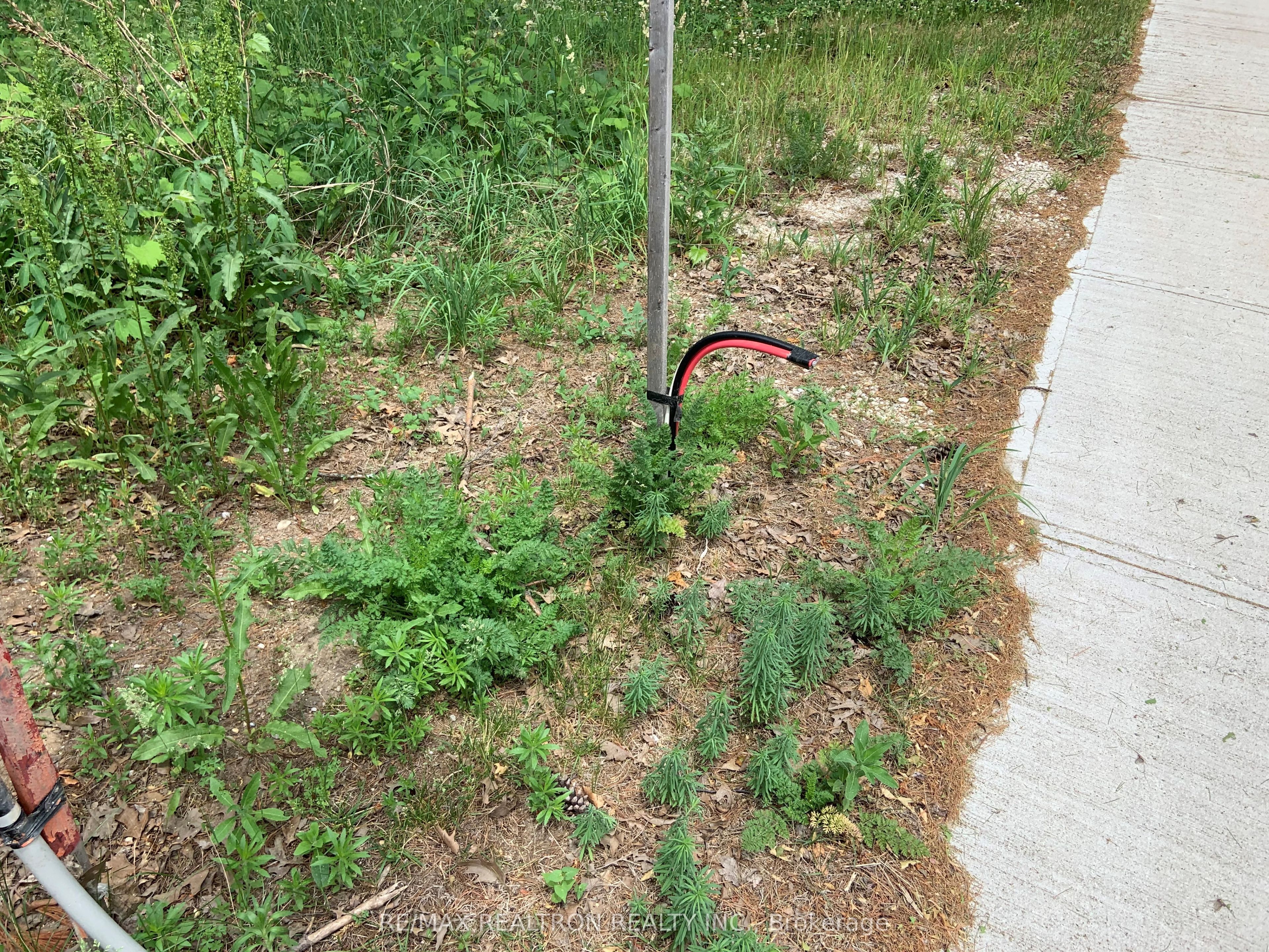 8 Poplar Street Property Photo 12