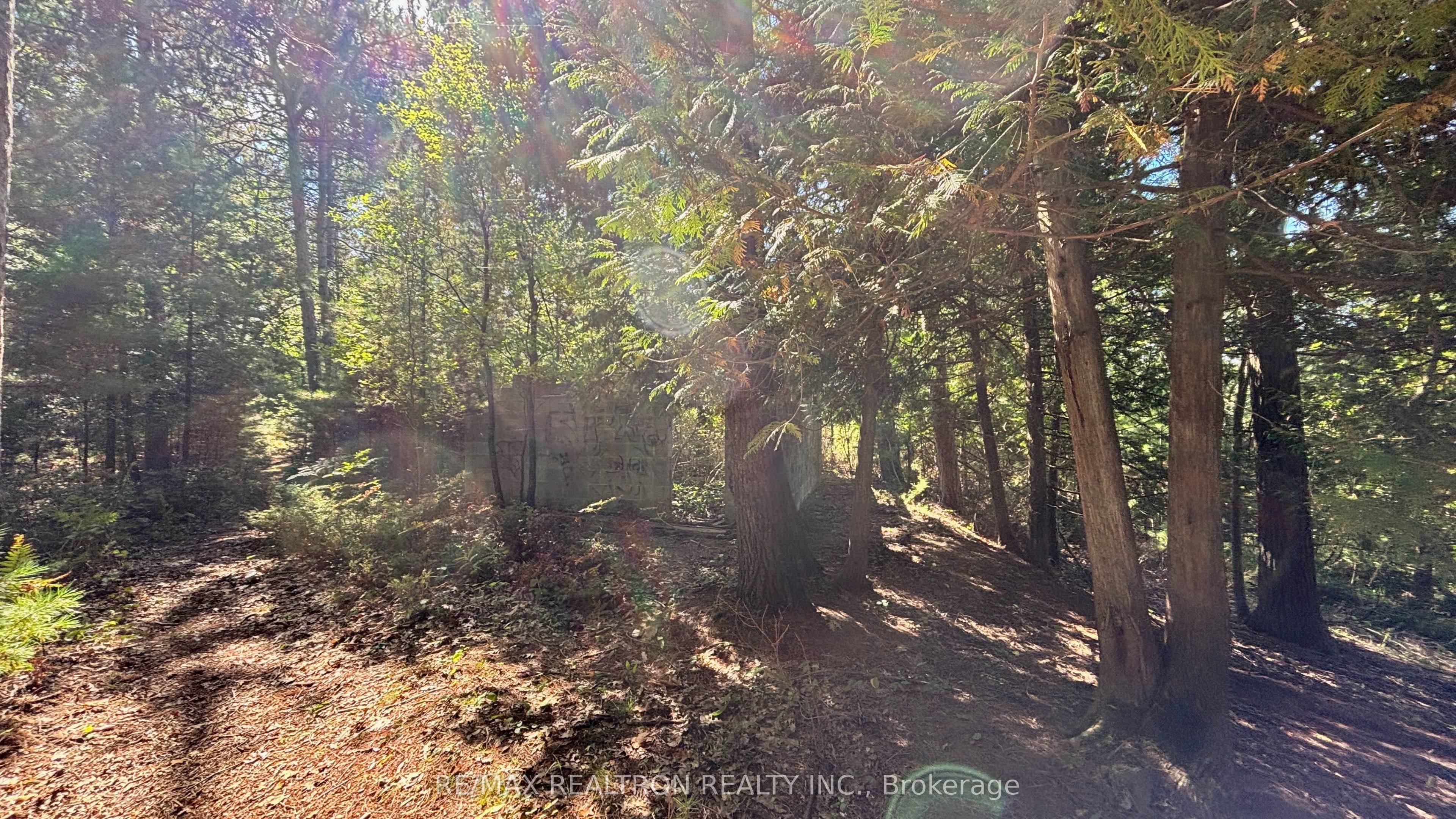 8 Poplar Street Property Photo 14
