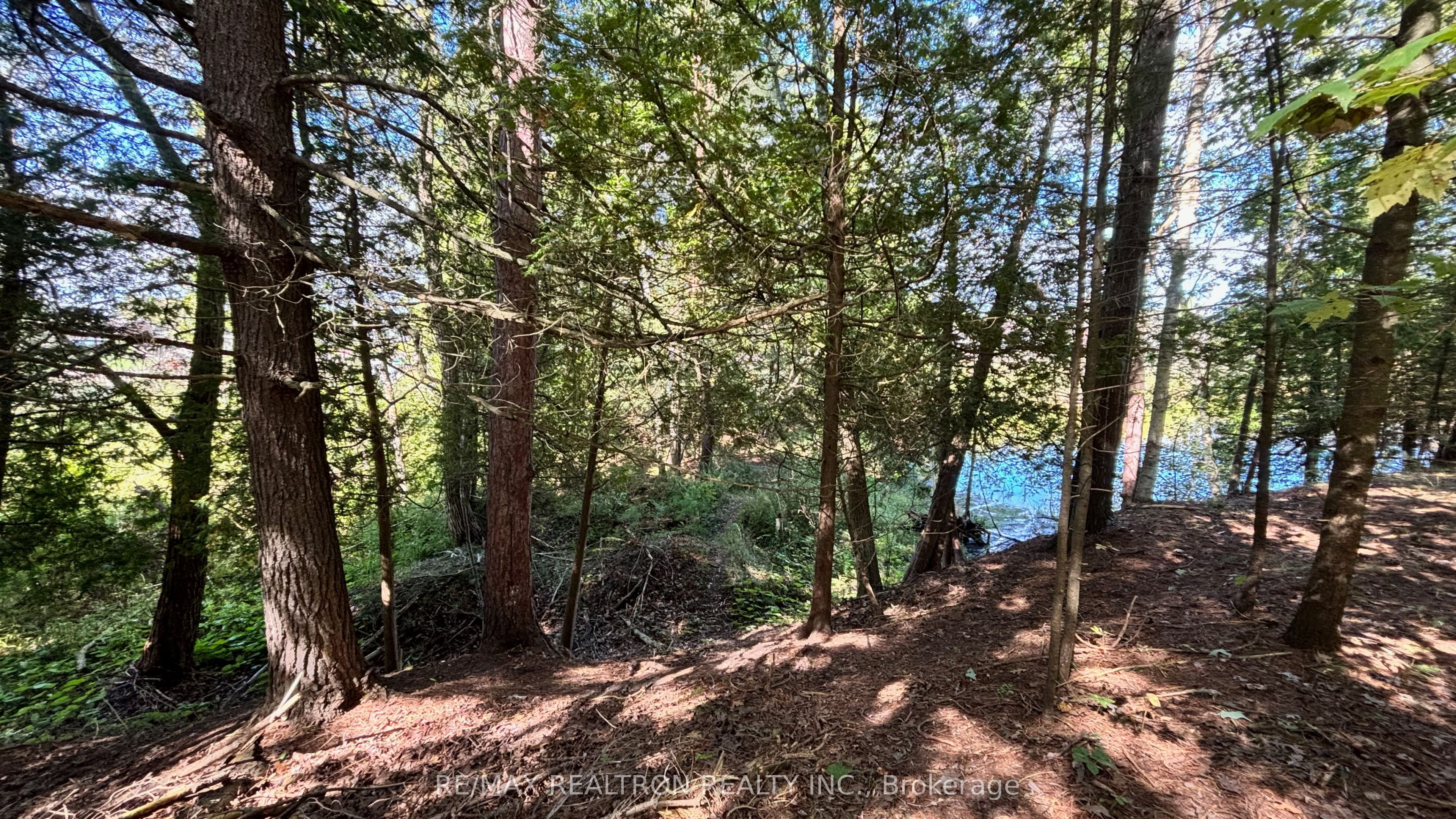 8 Poplar Street Property Photo 15