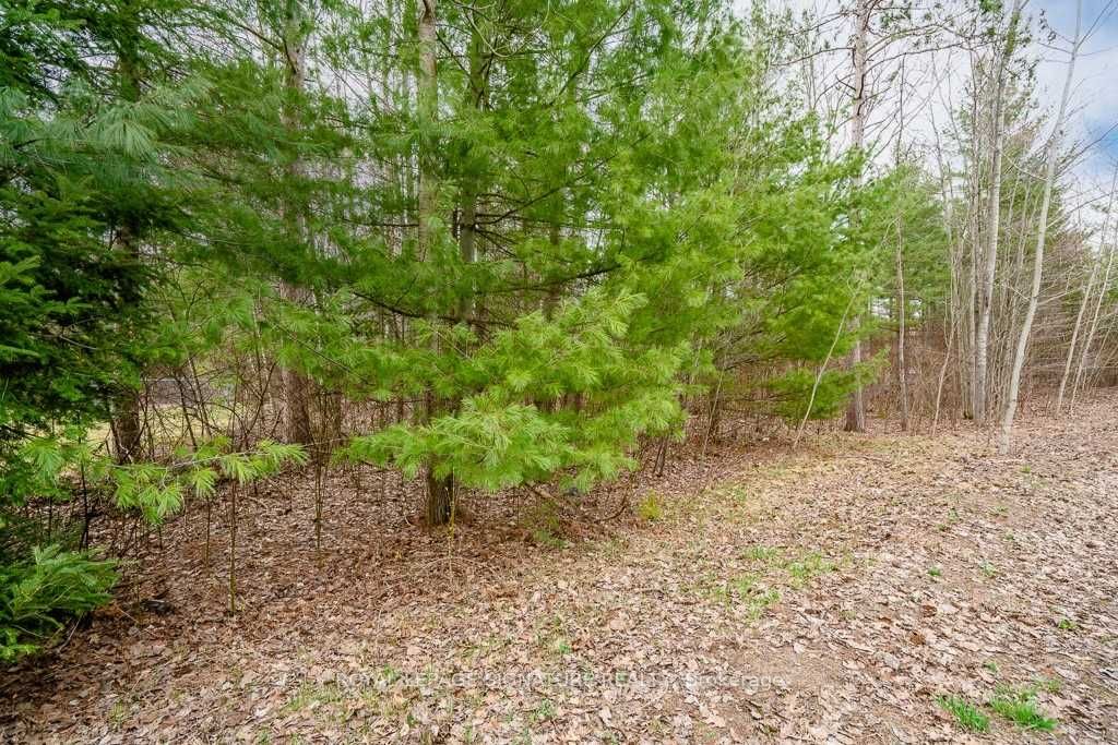 4 Nida Cres Property Photo 7