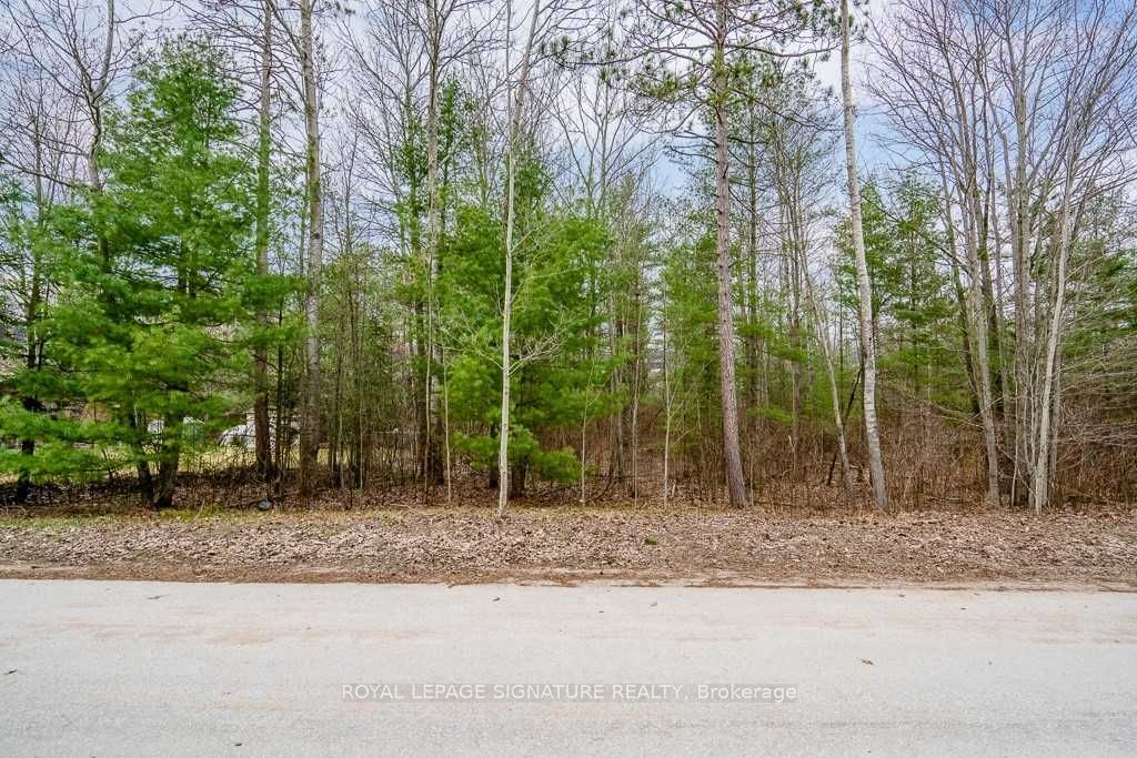 4 Nida Cres Property Photo 8