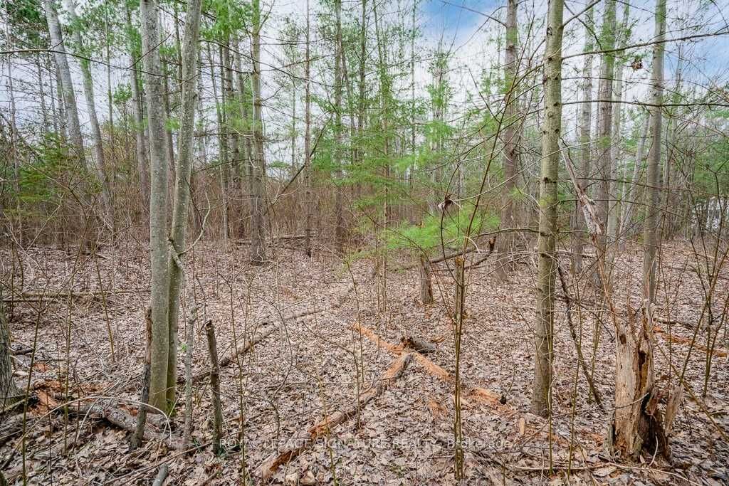 4 Nida Cres Property Photo 12