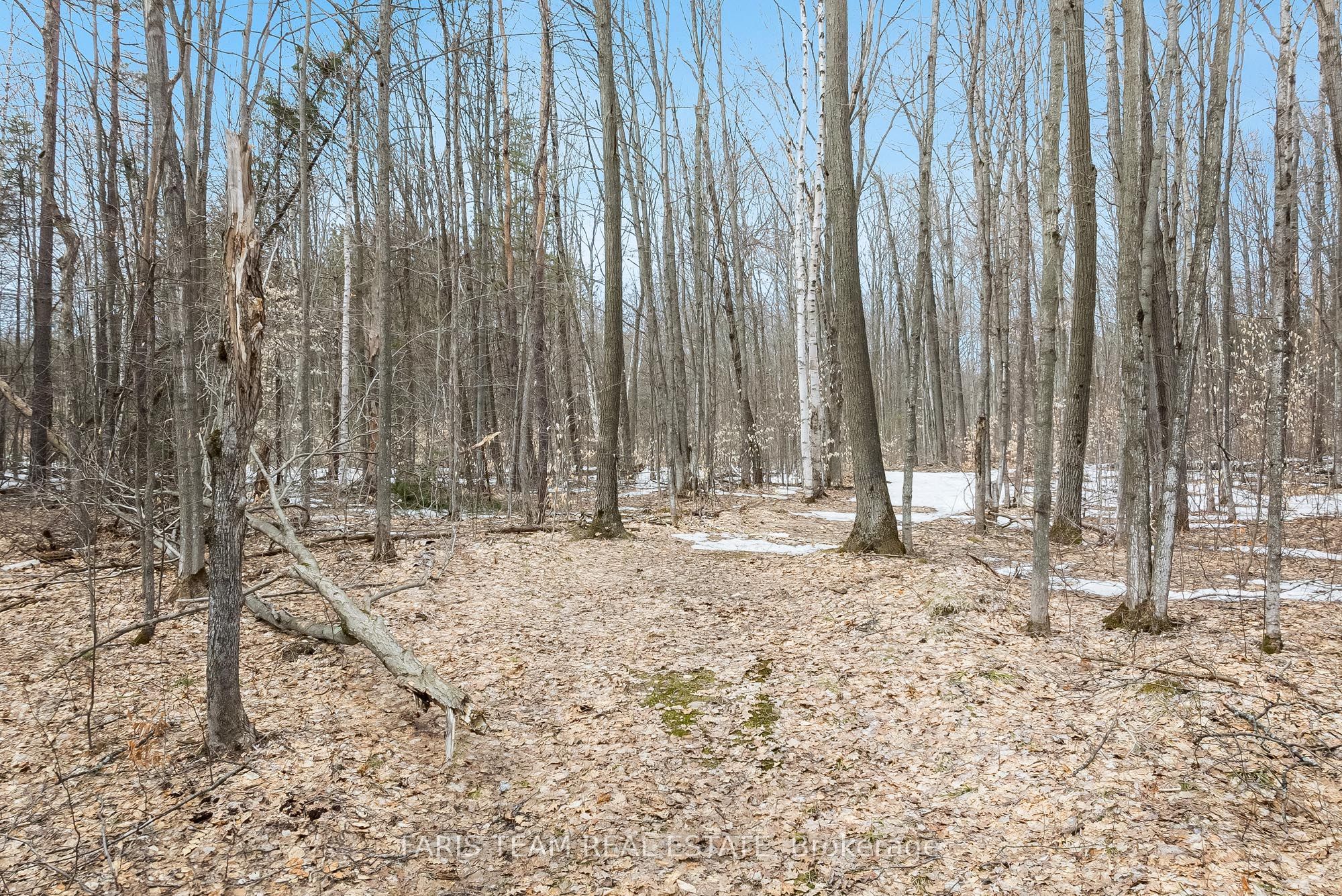 Lot 11 Dorion Road Property Photo 2