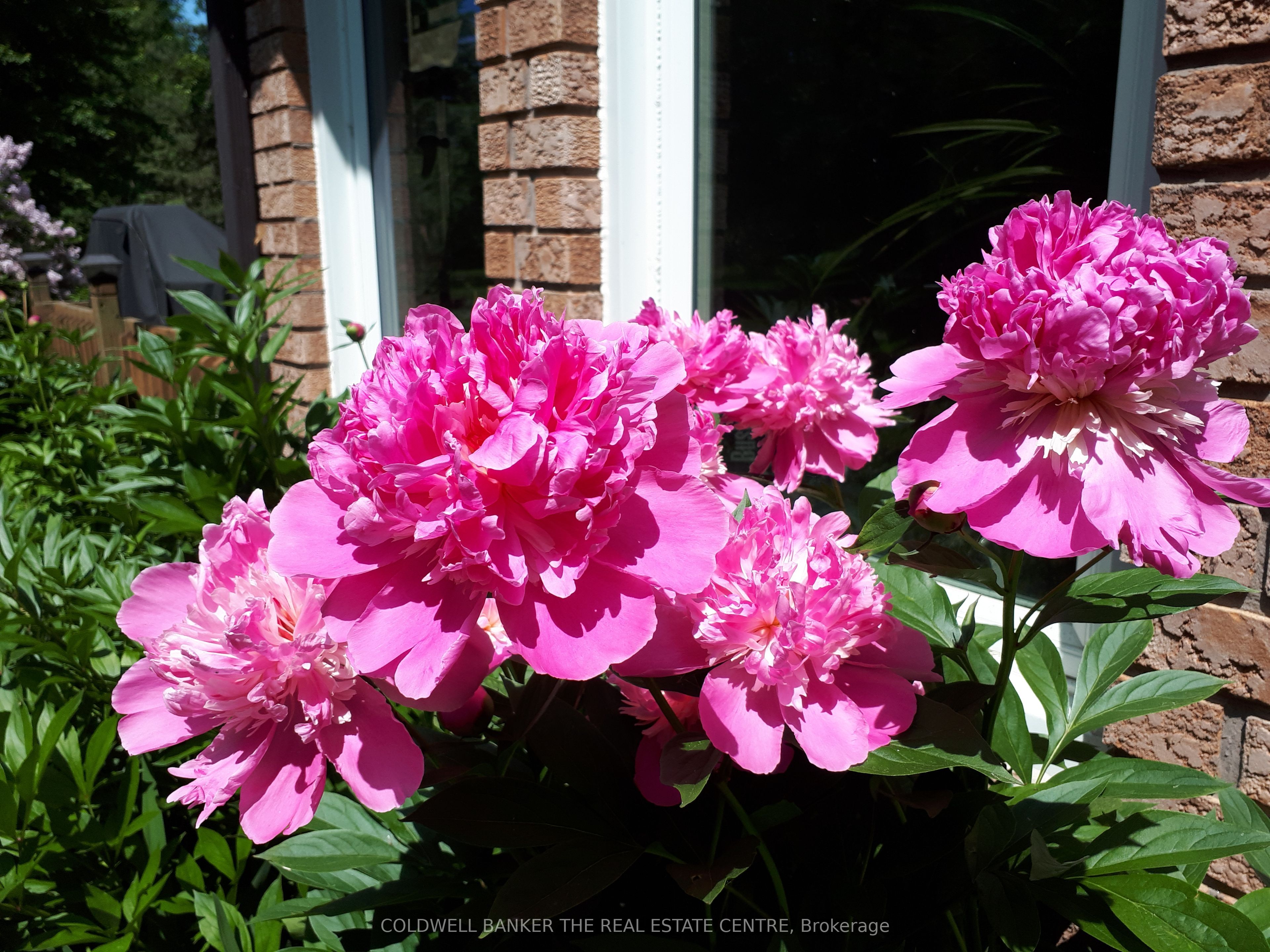 148 Bayshore Drive Property Photo 40