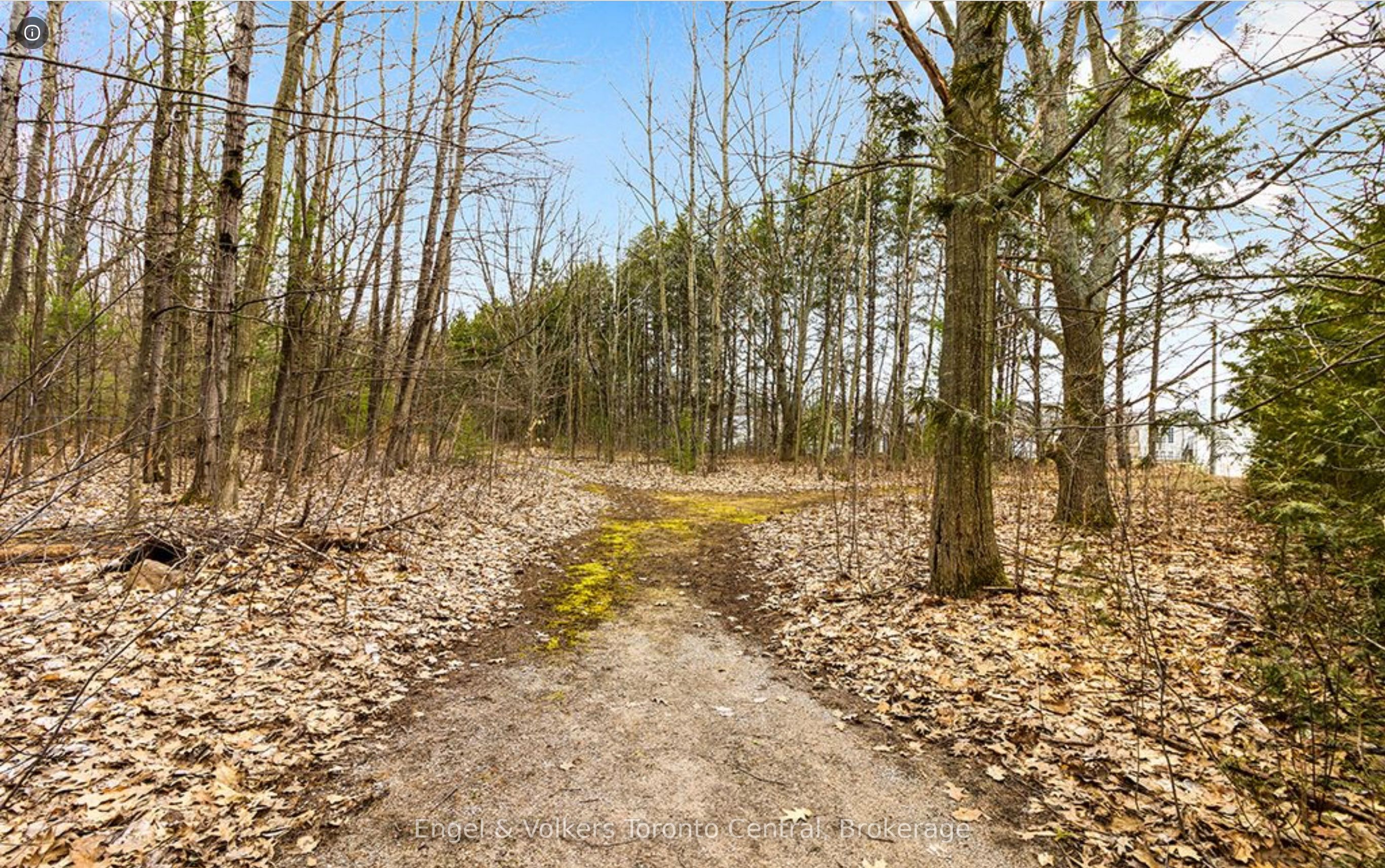 1056 Fuller Avenue Property Photo 12