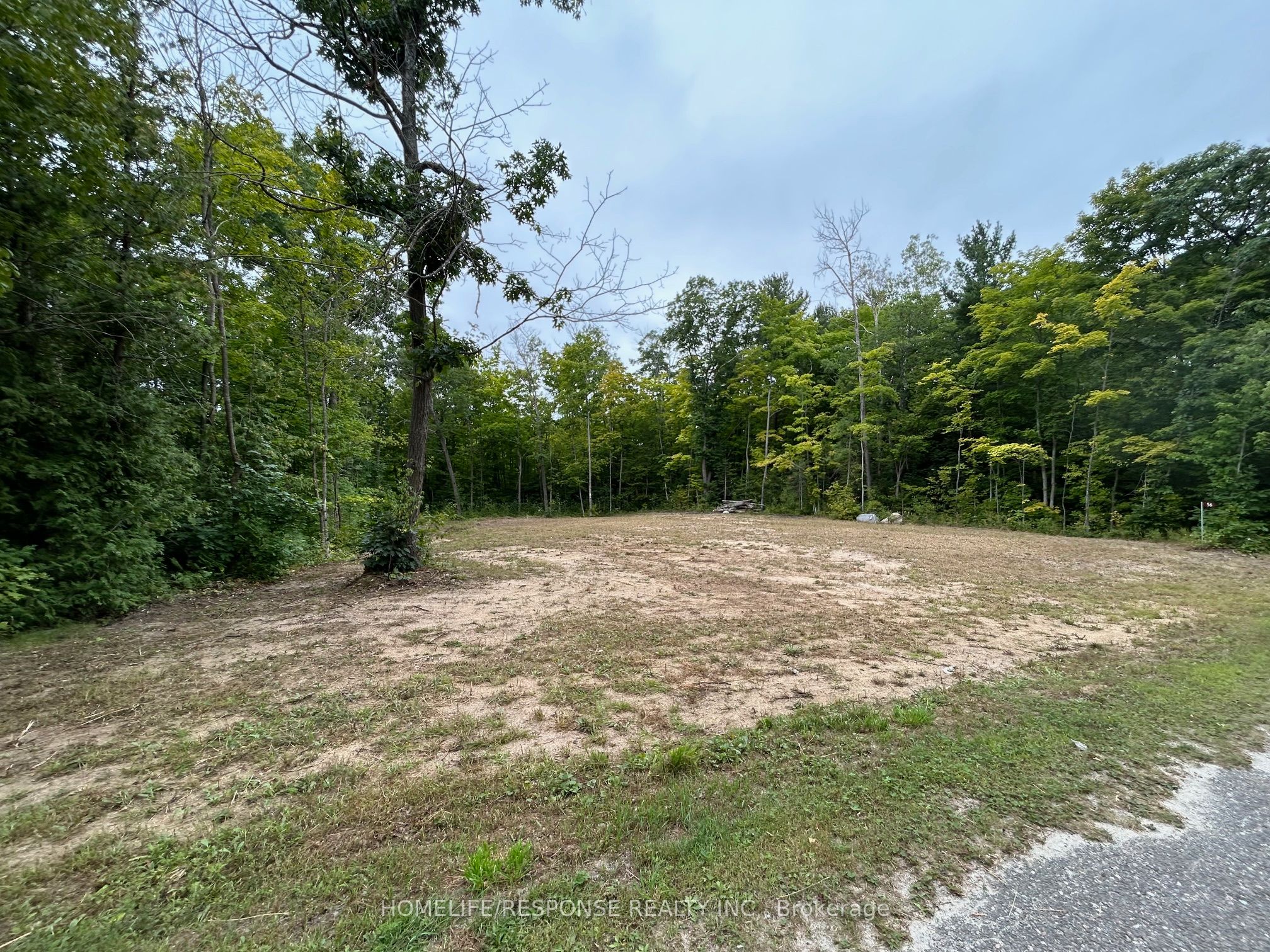 56 Poplar Drive Property Photo 1