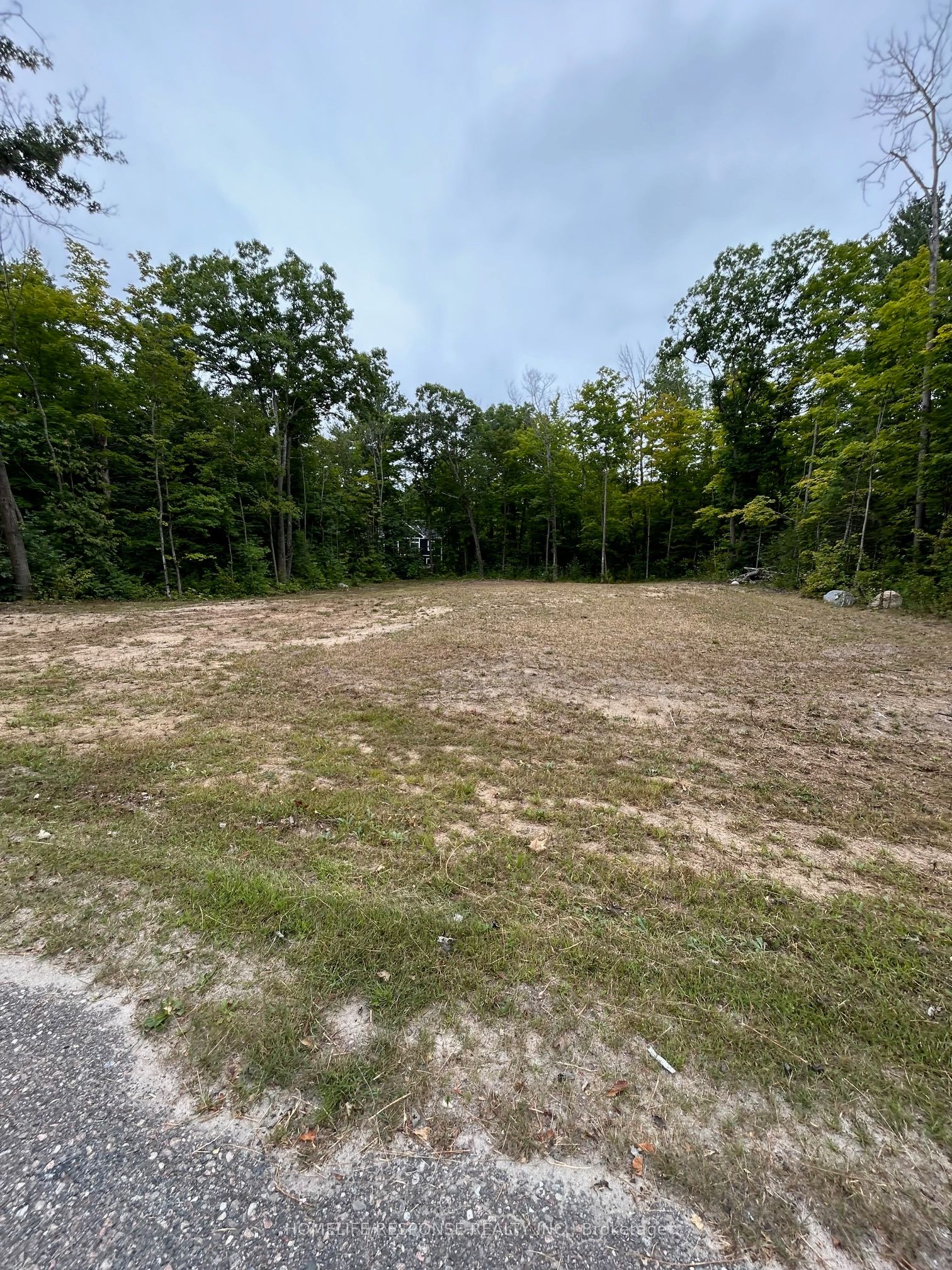 56 Poplar Drive Property Photo 3