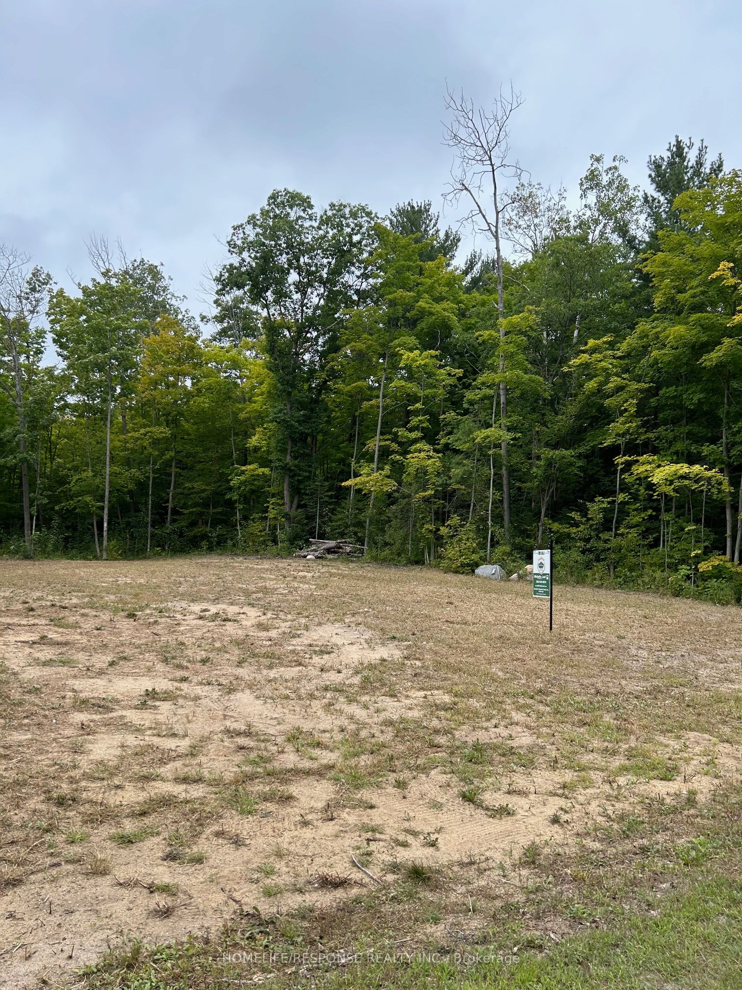 56 Poplar Drive Property Photo 5