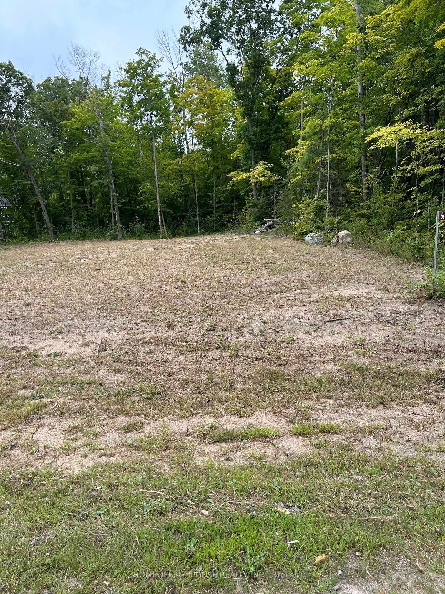56 Poplar Drive Property Photo 6