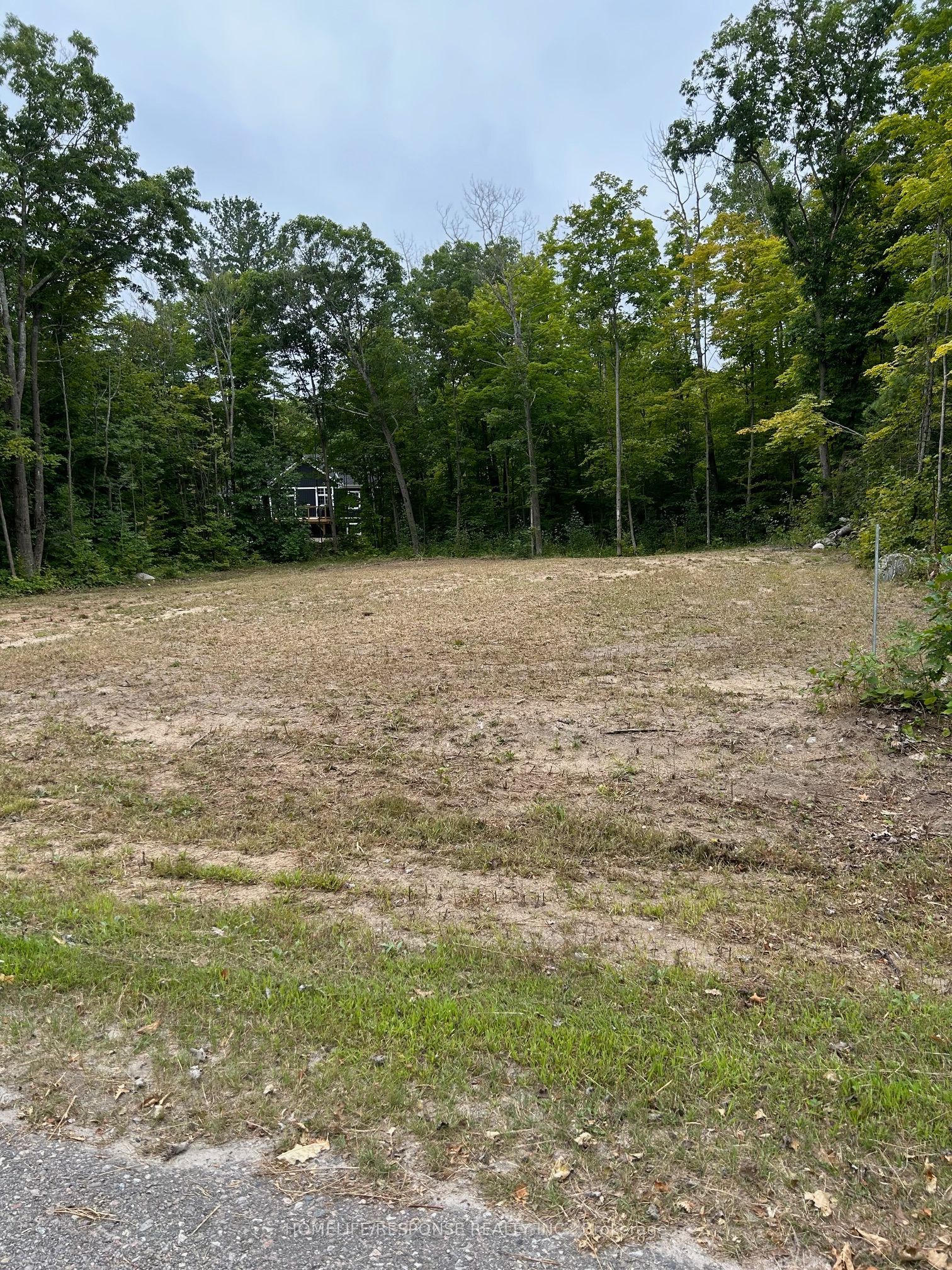56 Poplar Drive Property Photo 7