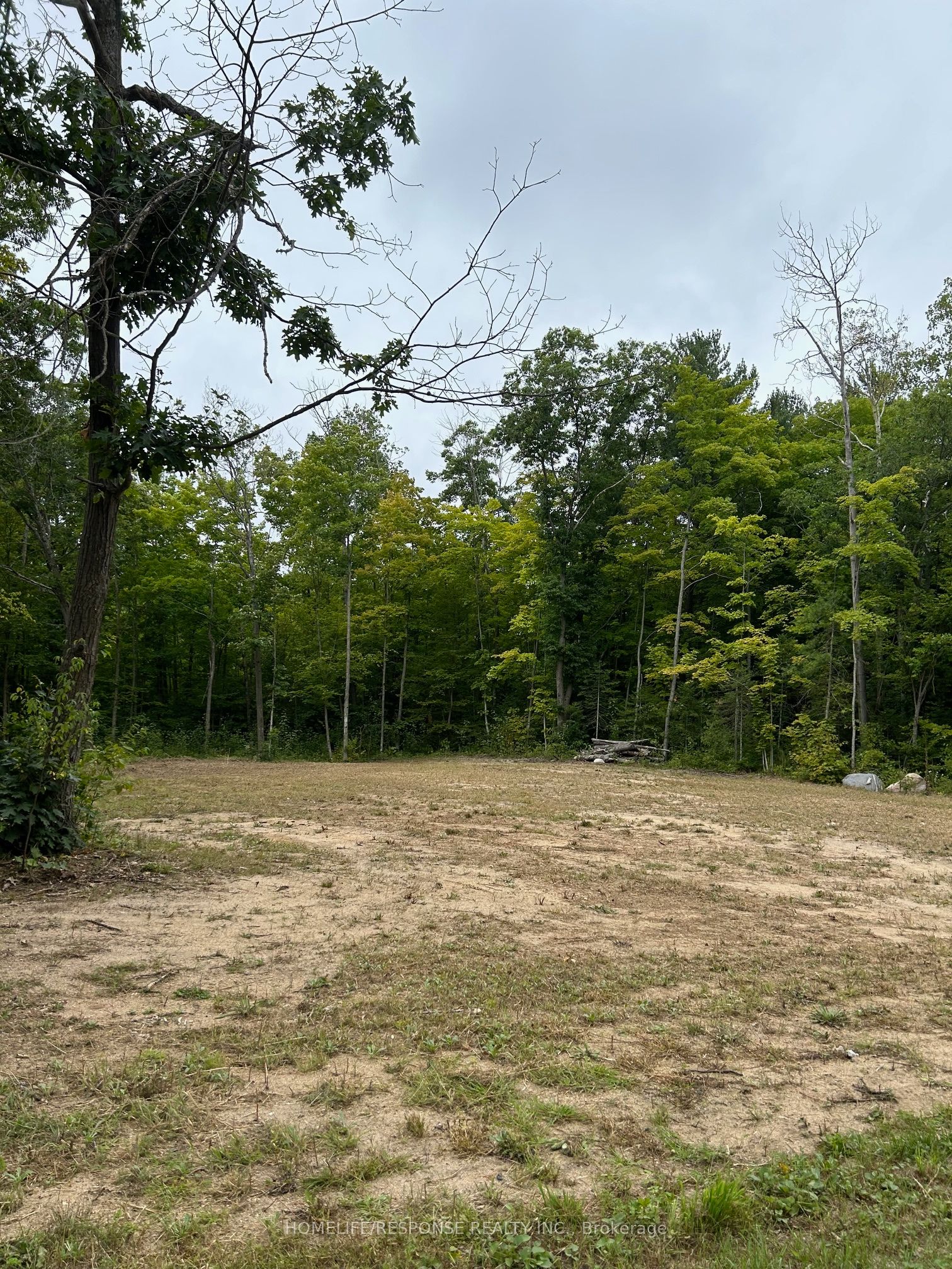 56 Poplar Drive Property Photo 8
