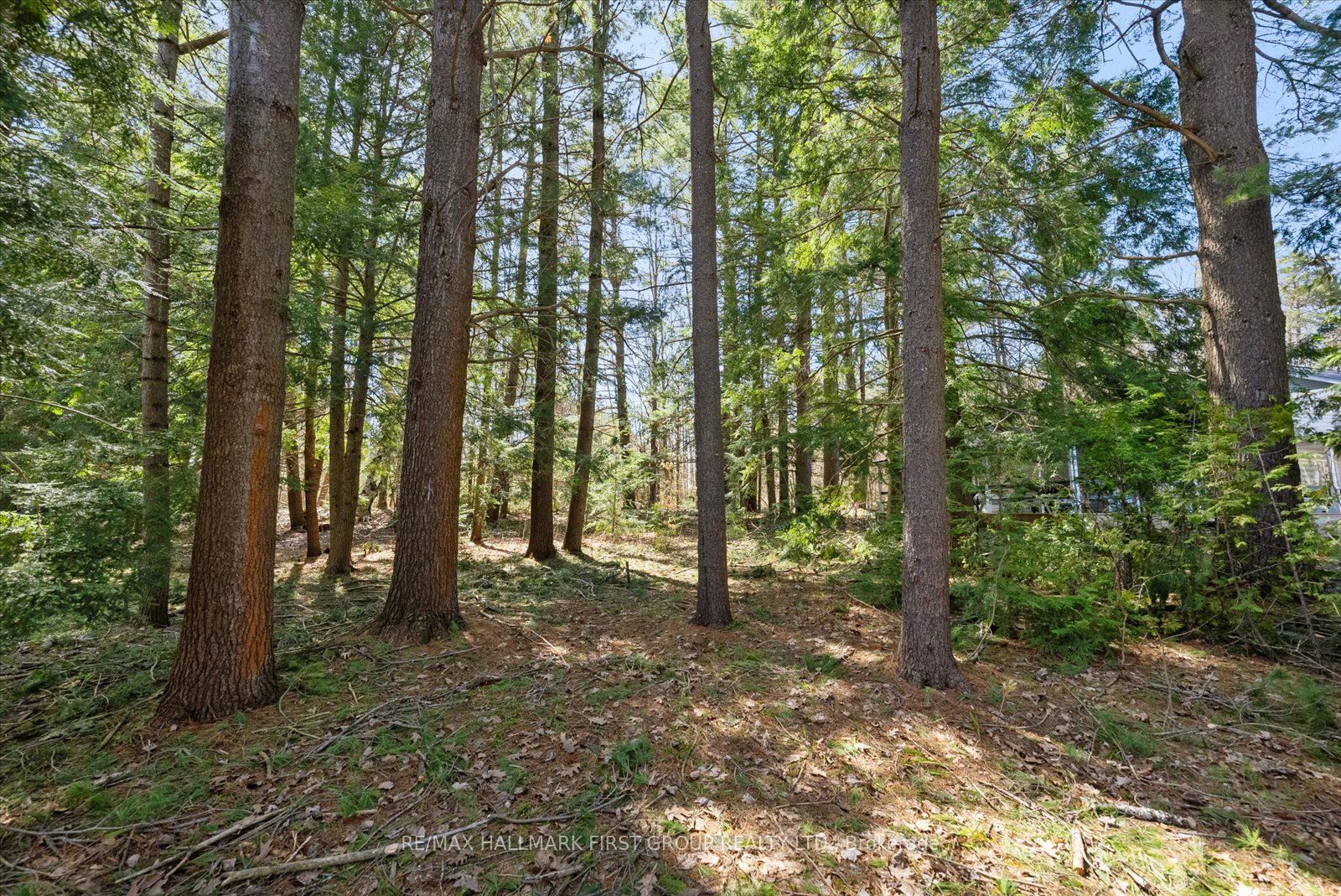 3070 Sparrow Lake Road Property Photo 14