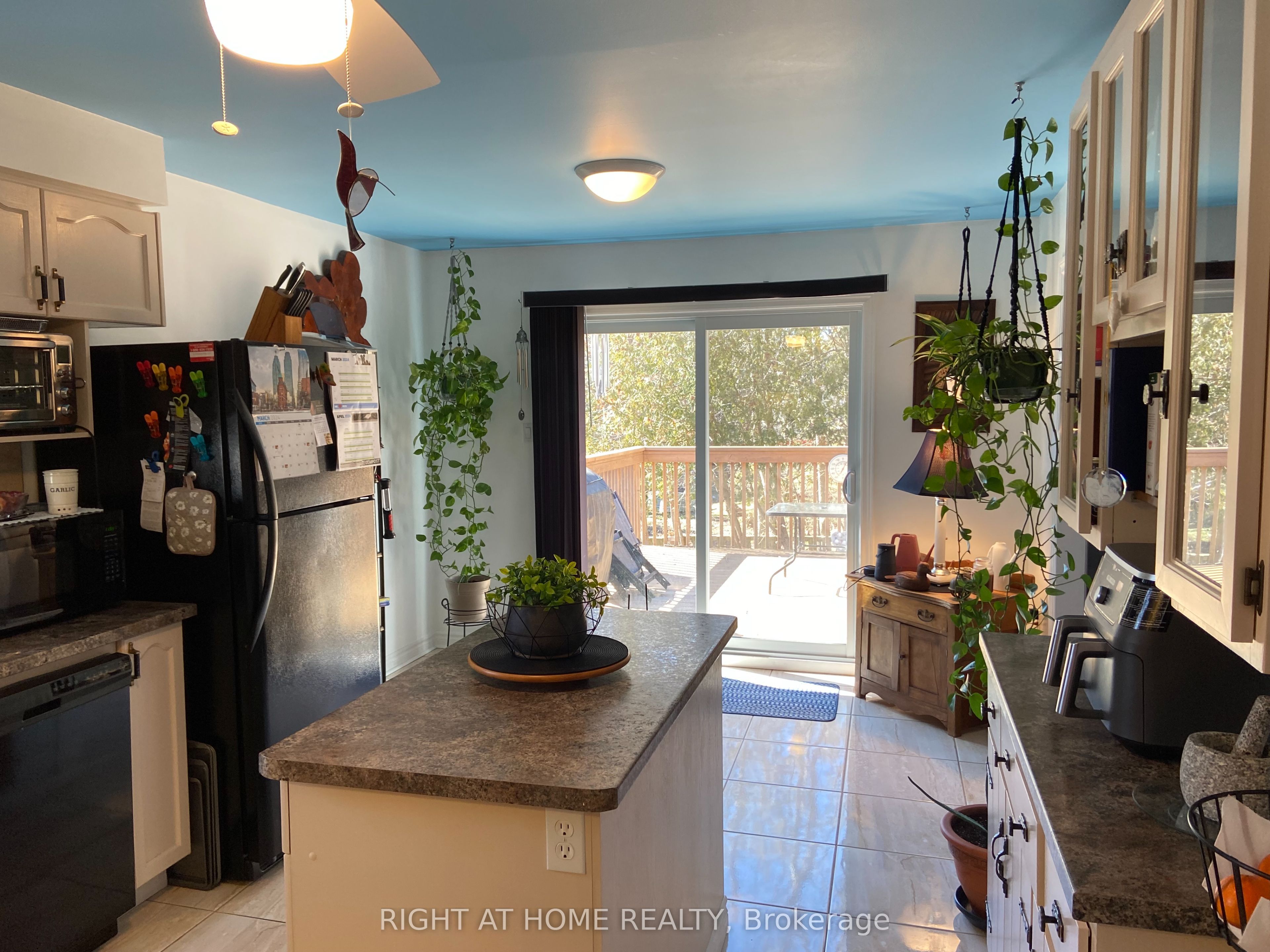 4 Campbell Avenue Property Photo 5