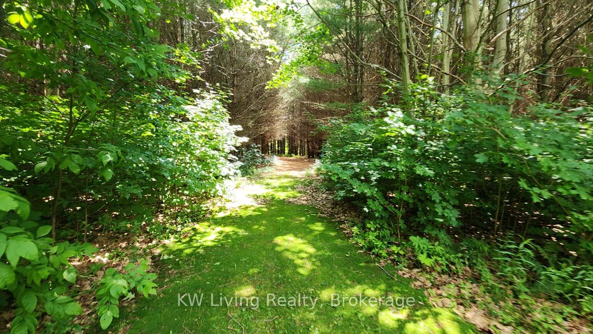Property Photo 33